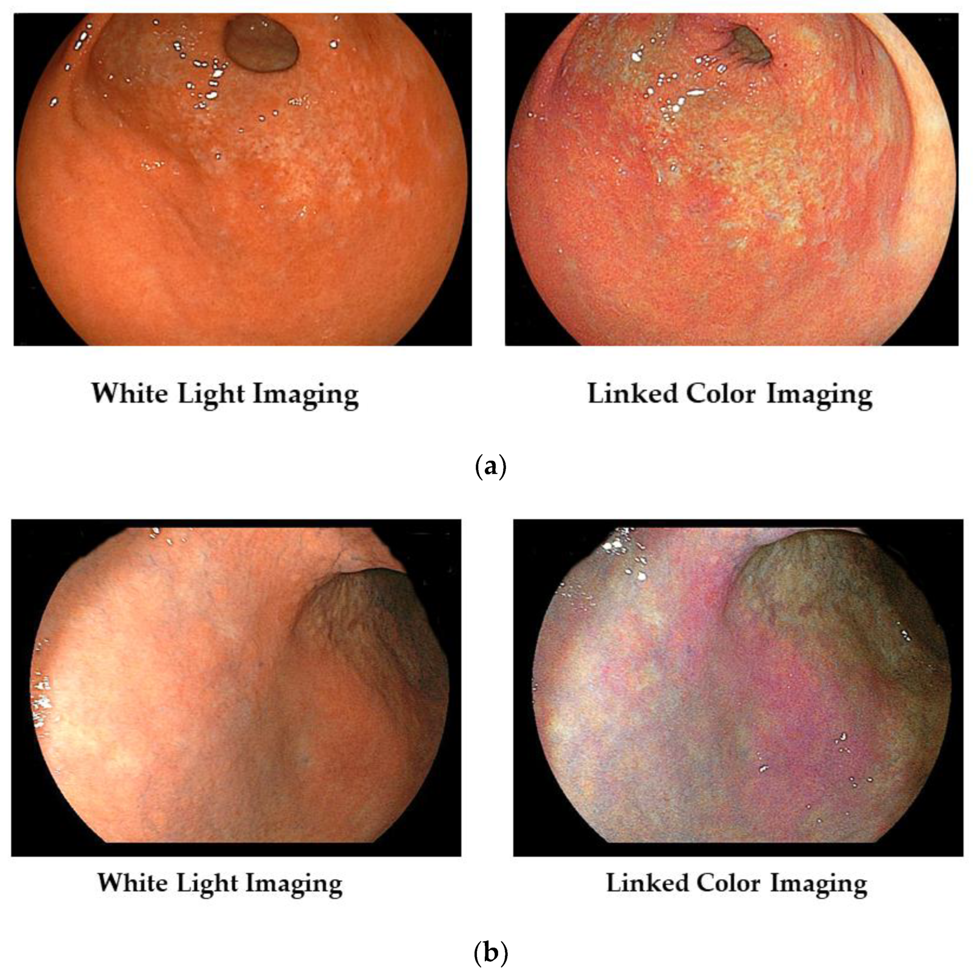 Diagnostics 13 00467 g002