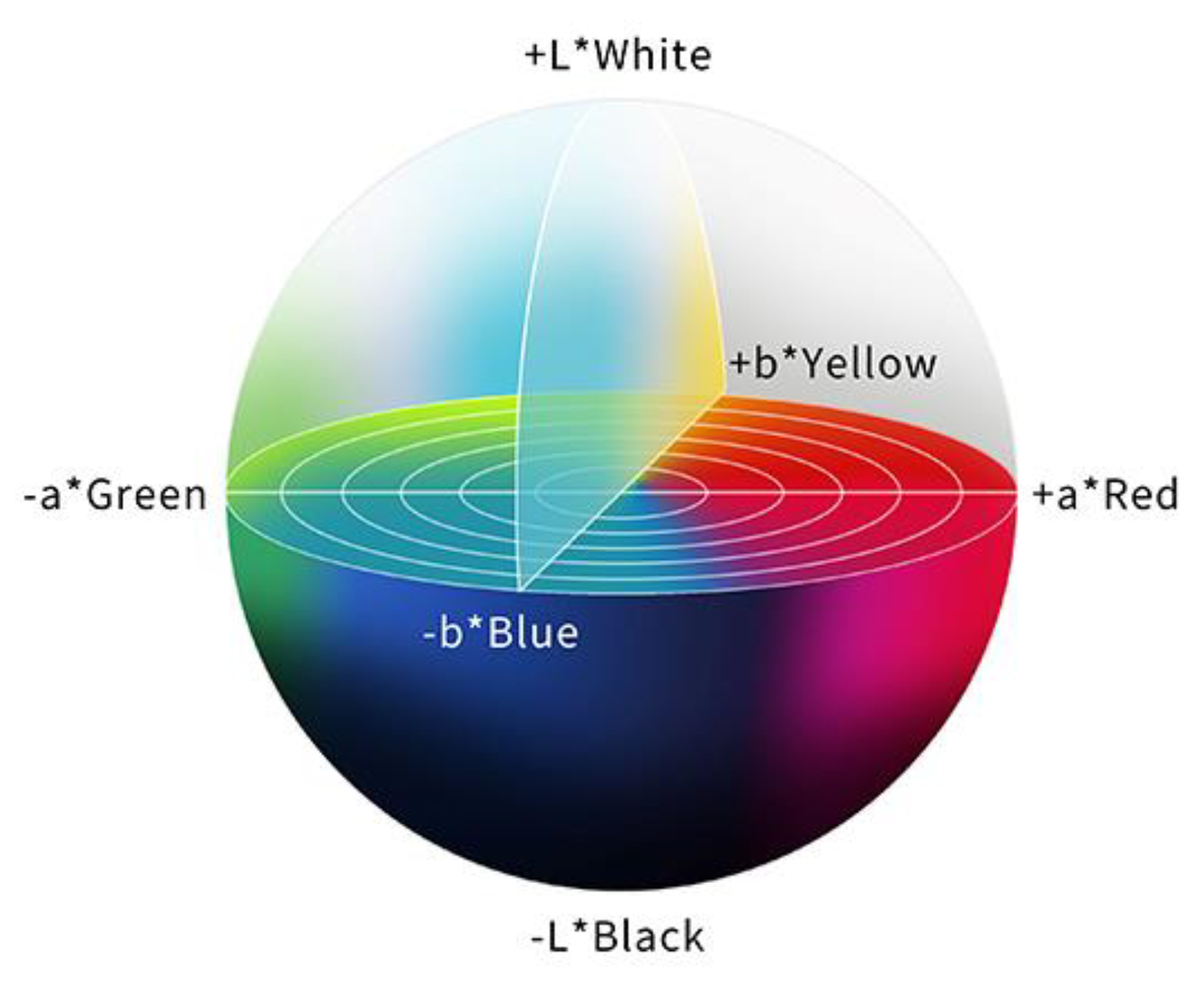 Diagnostics 13 00467 g003