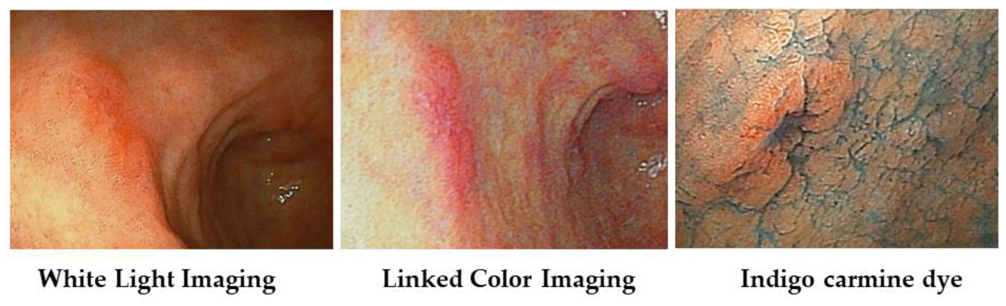 Diagnostics 13 00467 g005