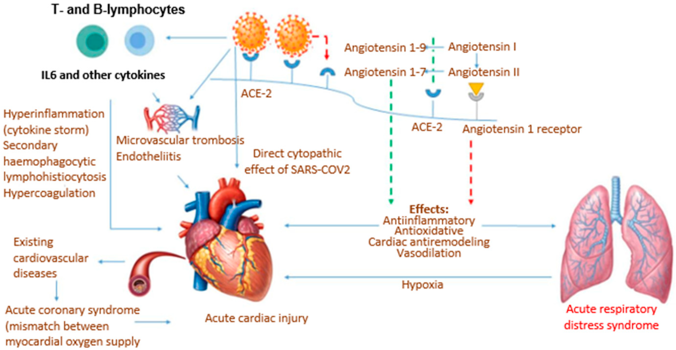 Diagnostics 13 00478 g001 Diagnostics 13 00478 g001