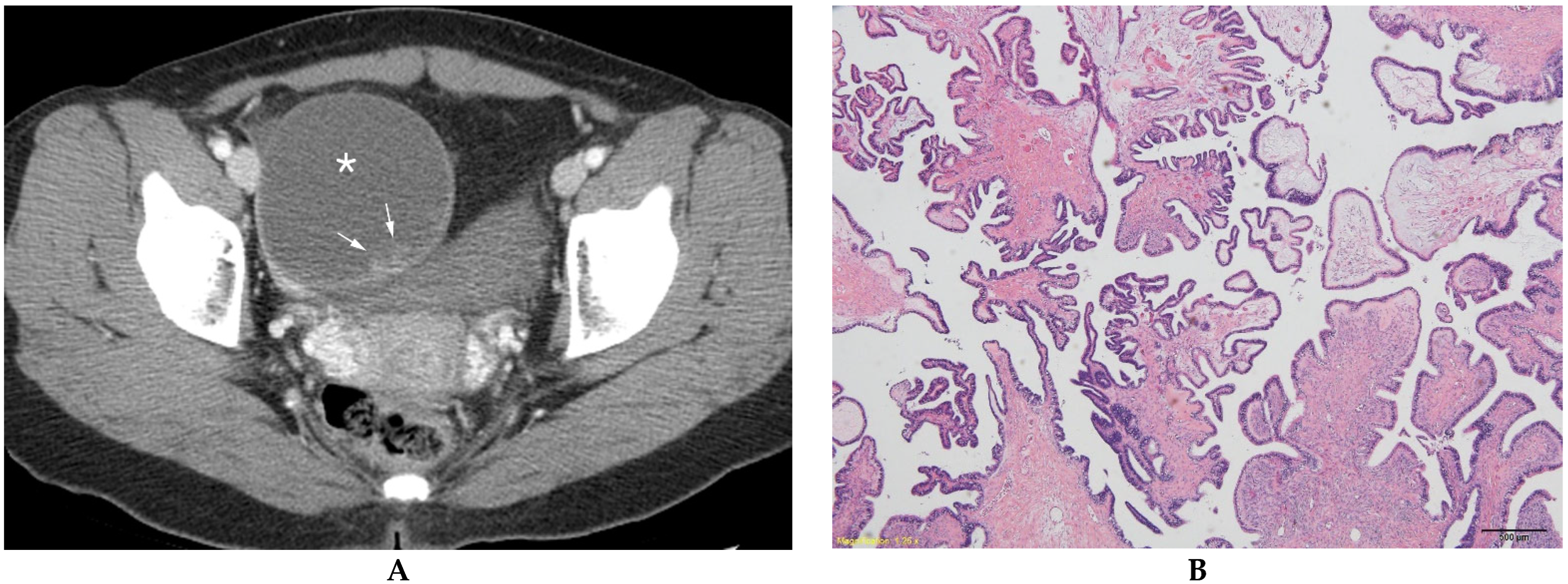 Diagnostics 13 00480 g002