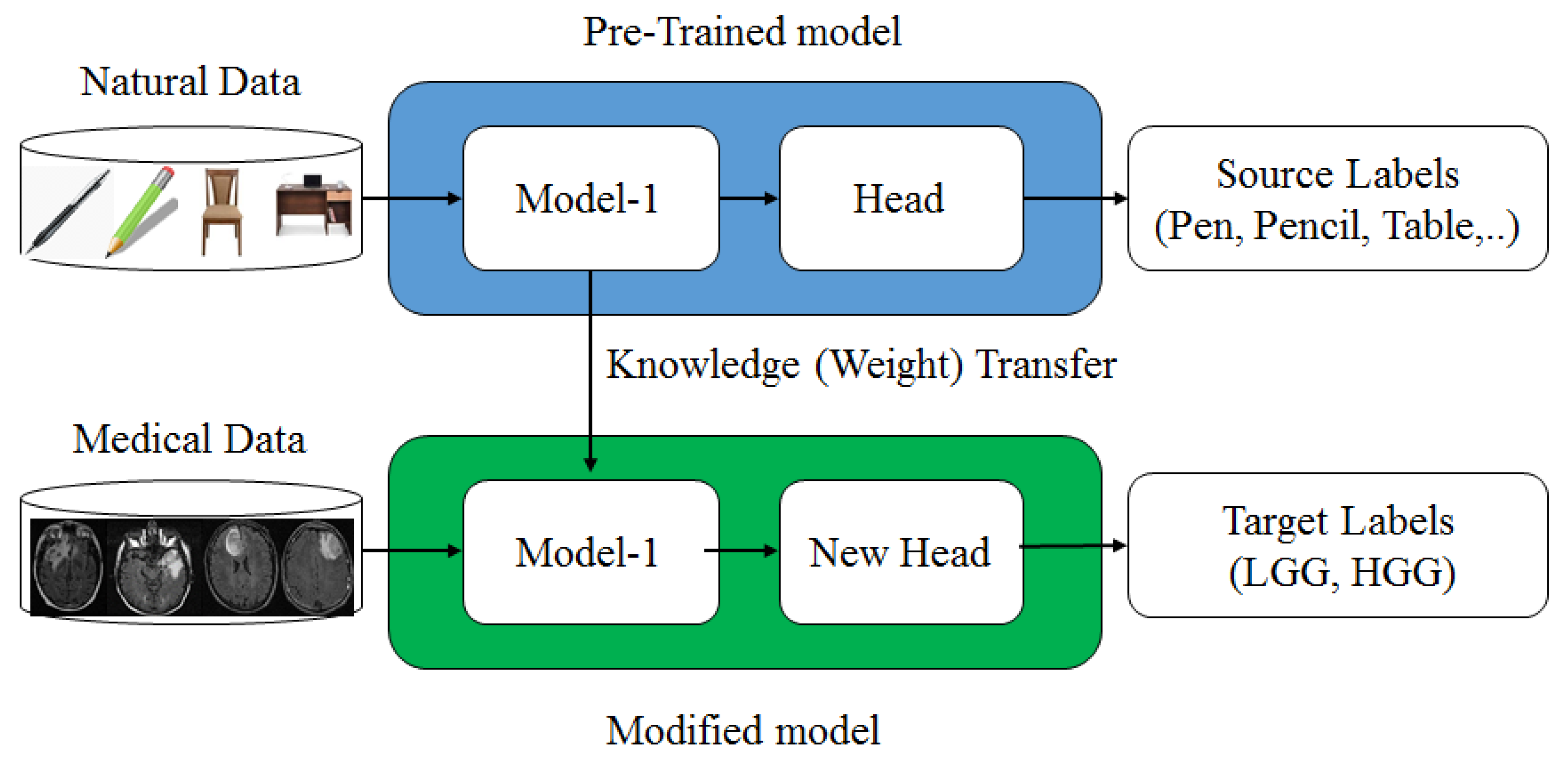 Diagnostics 13 00481 g005 Diagnostics 13 00481 g005