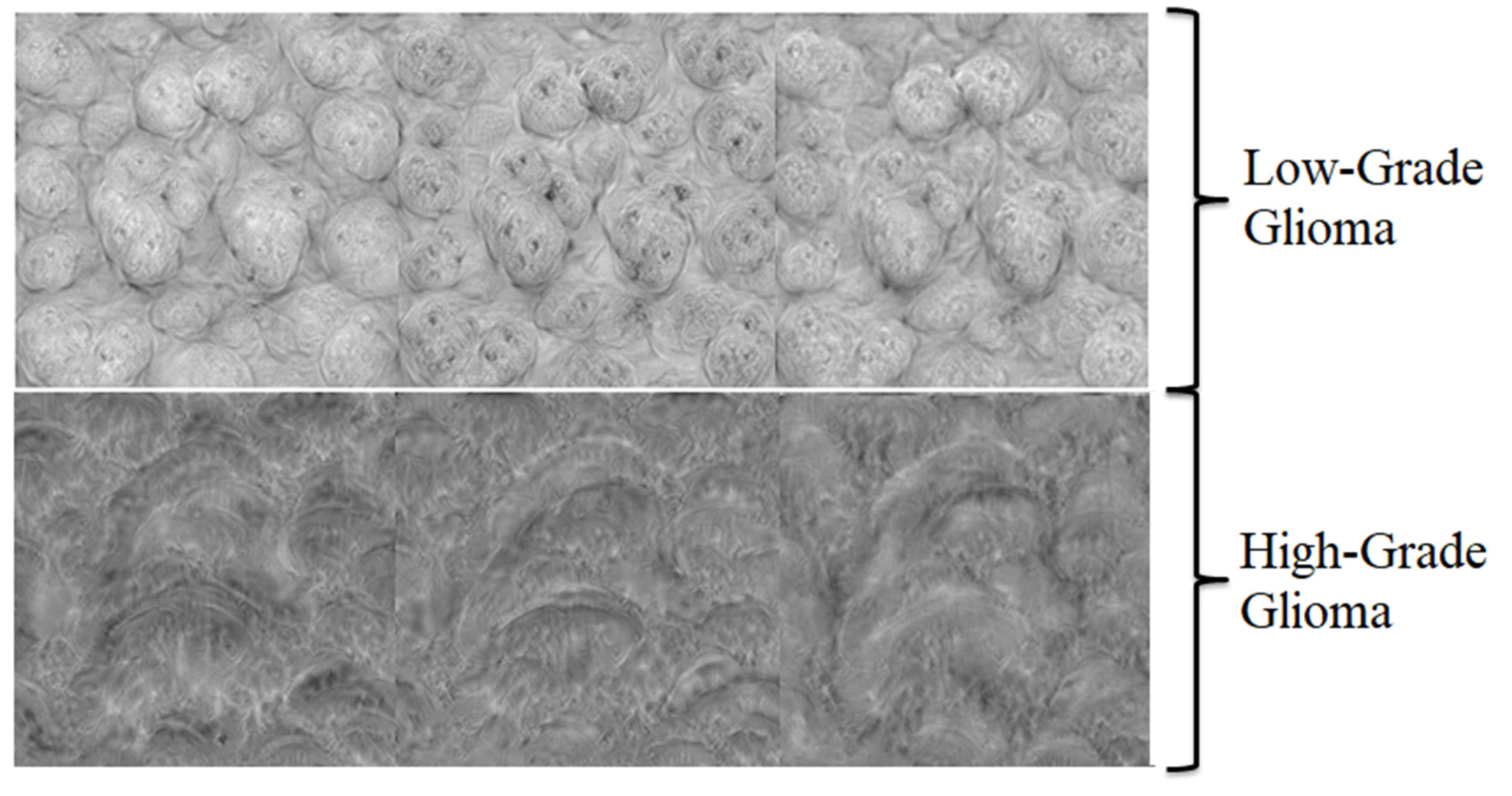 Diagnostics 13 00481 g0a4 Diagnostics 13 00481 g0a4