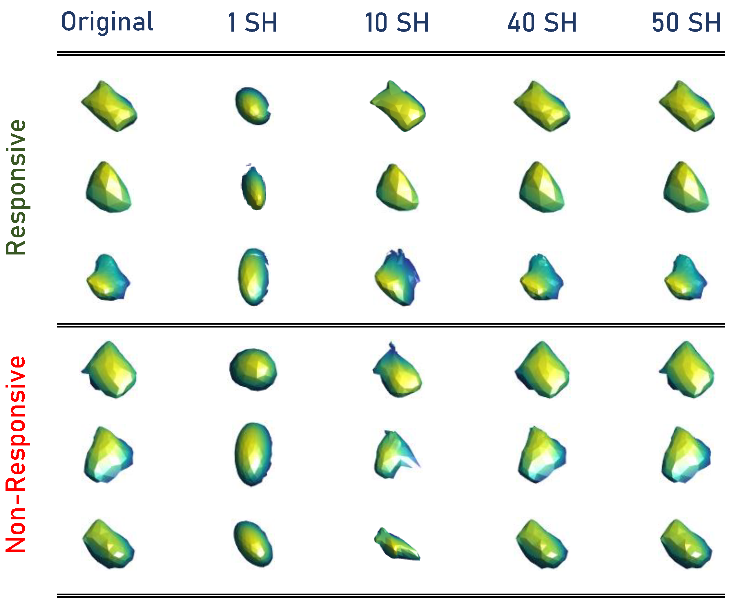 Diagnostics 13 00486 g003