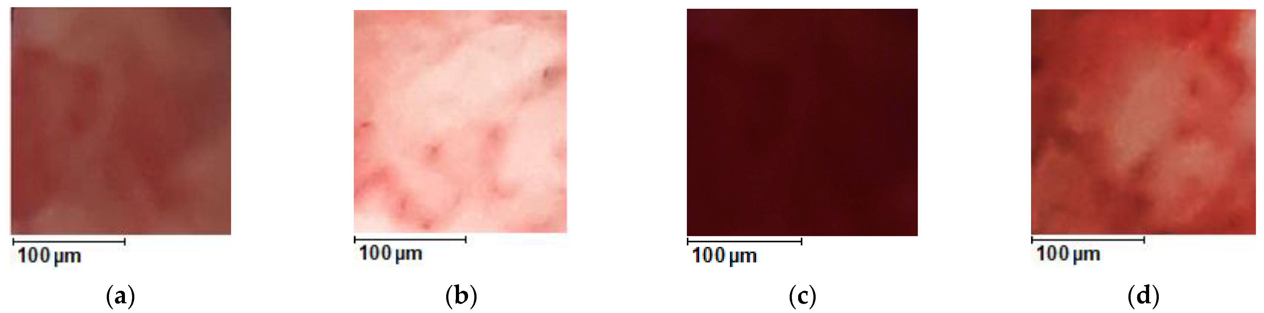 Diagnostics 13 00490 g013