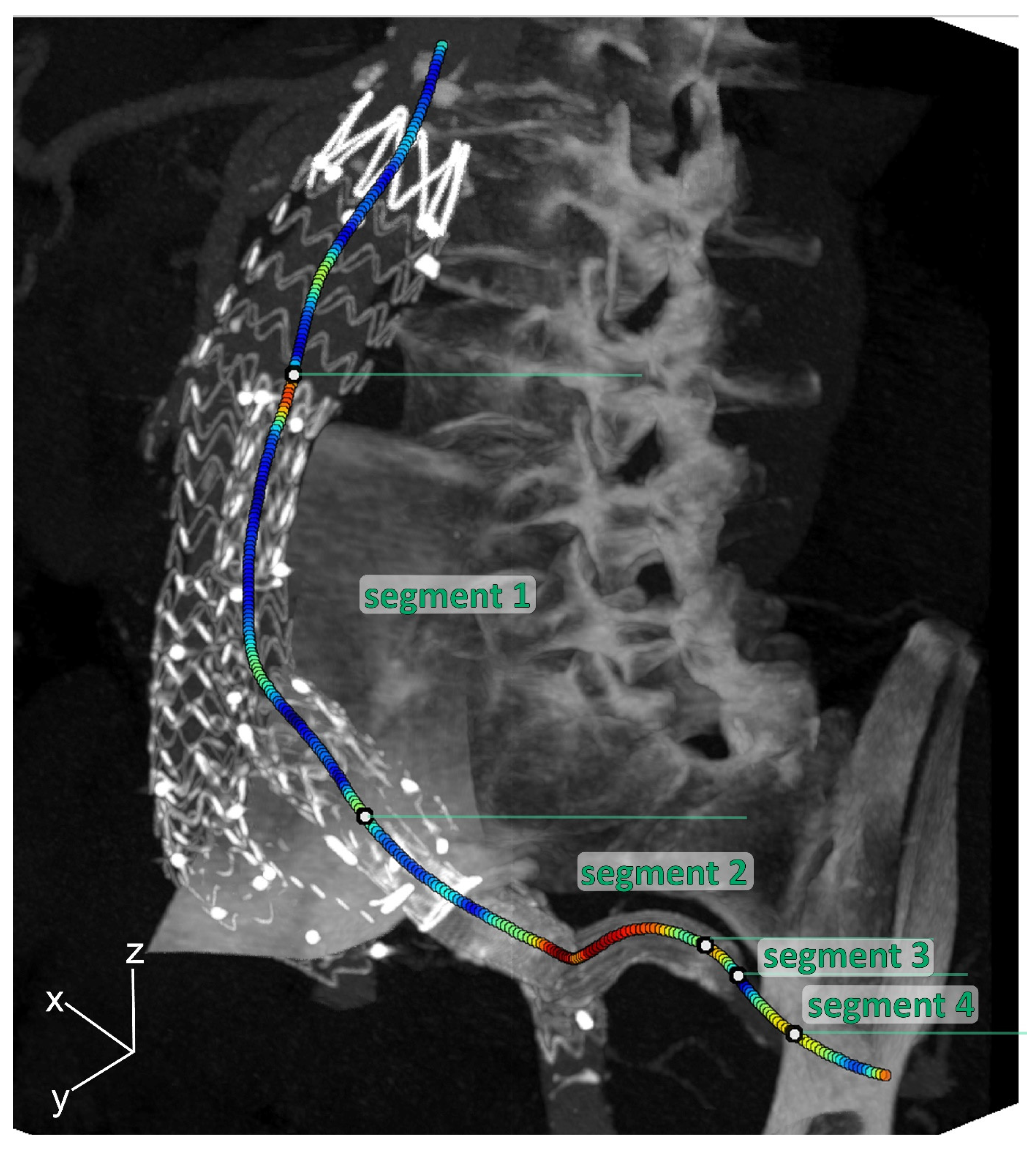 Diagnostics 13 00496 g002 Diagnostics 13 00496 g002