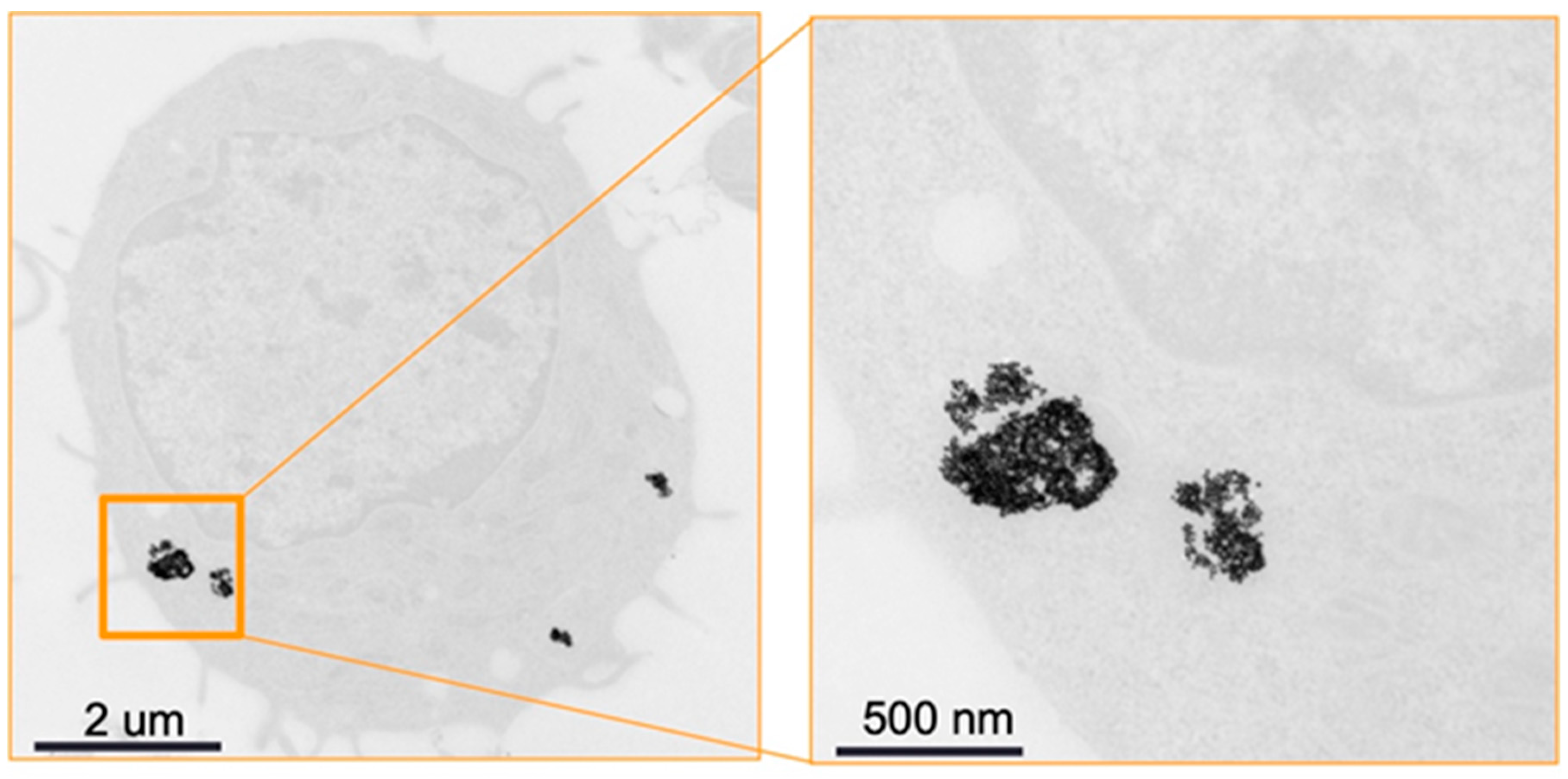 Diagnostics 13 00499 g006 Diagnostics 13 00499 g006