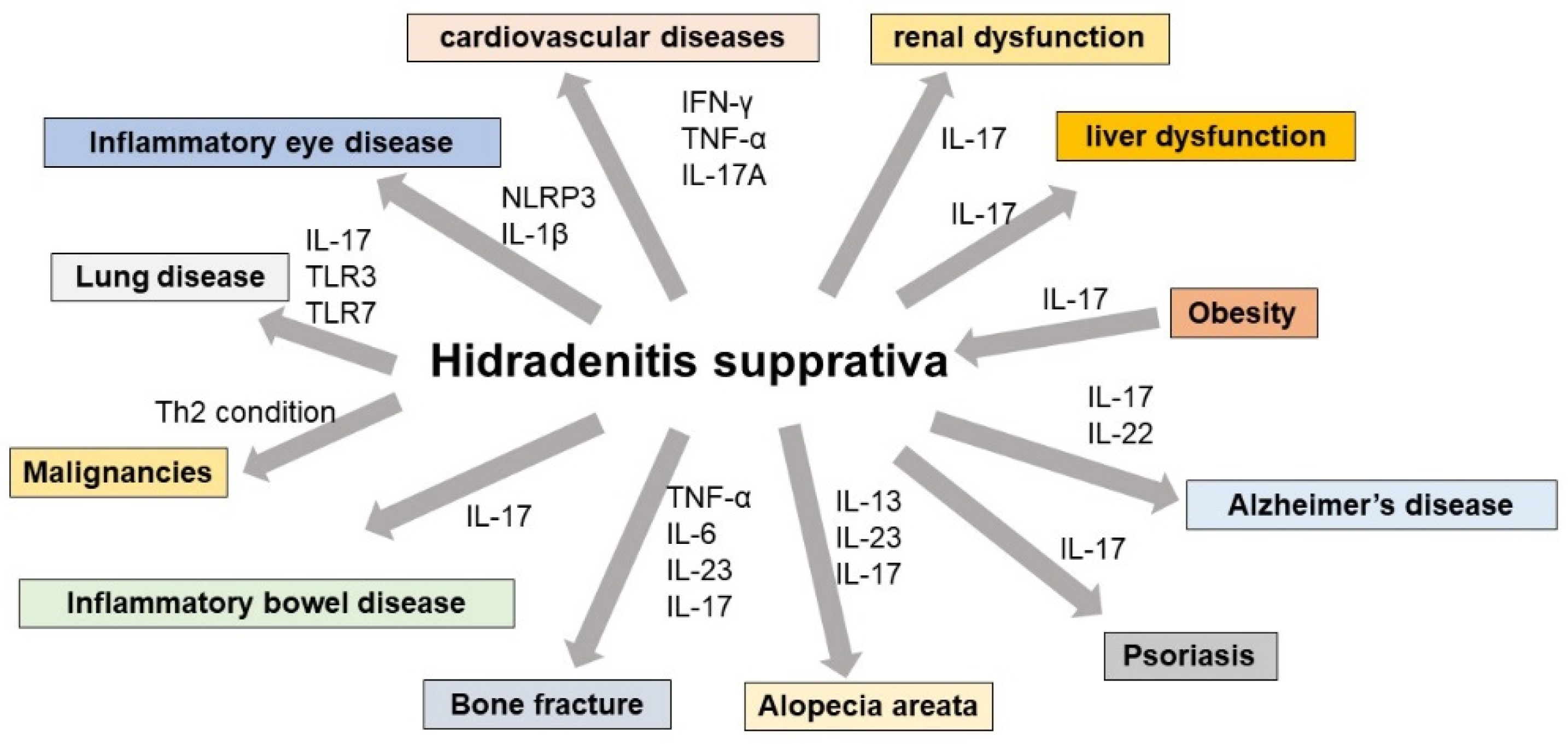 Diagnostics 13 00502 g002 Diagnostics 13 00502 g002
