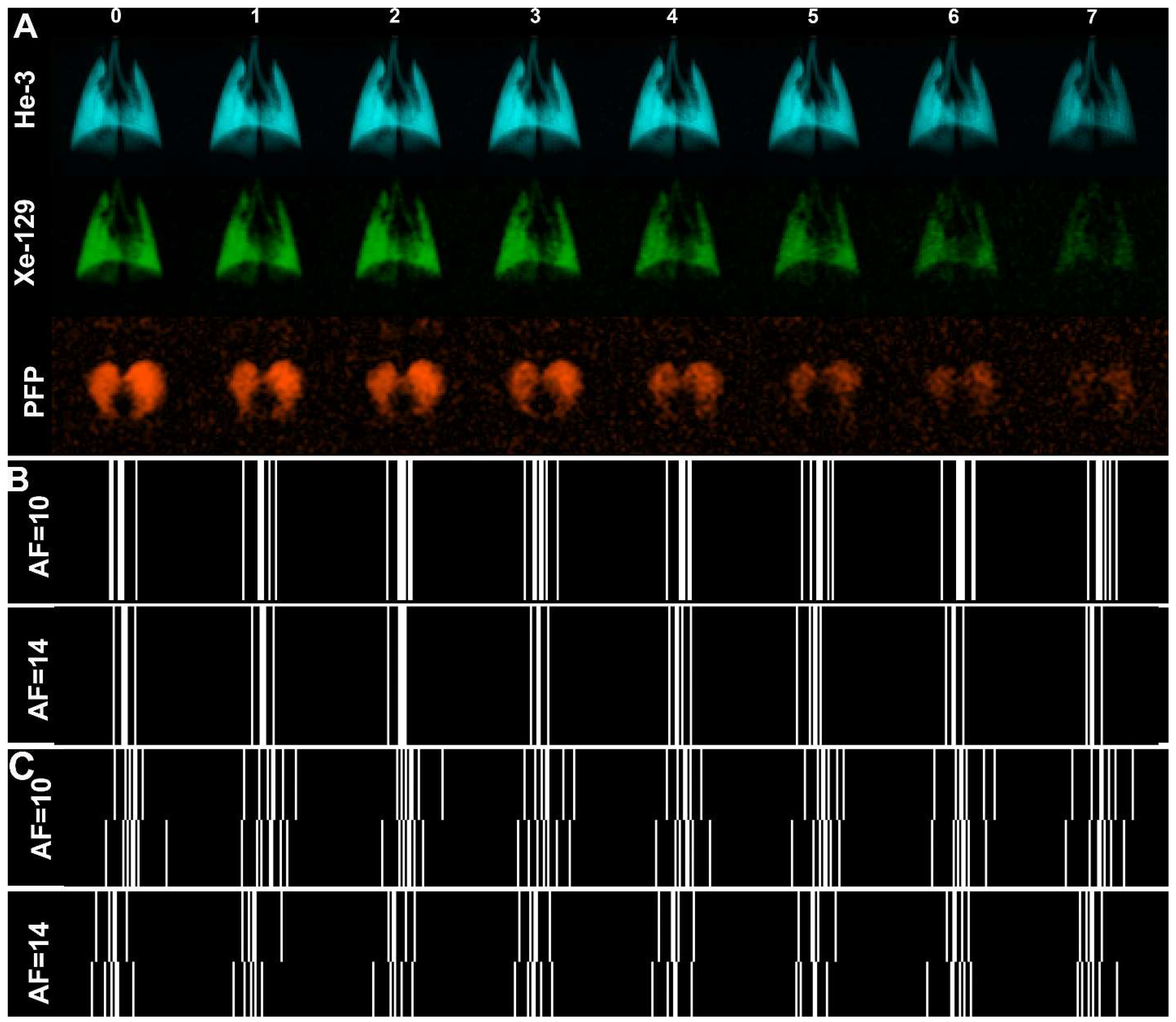 Diagnostics 13 00506 g001