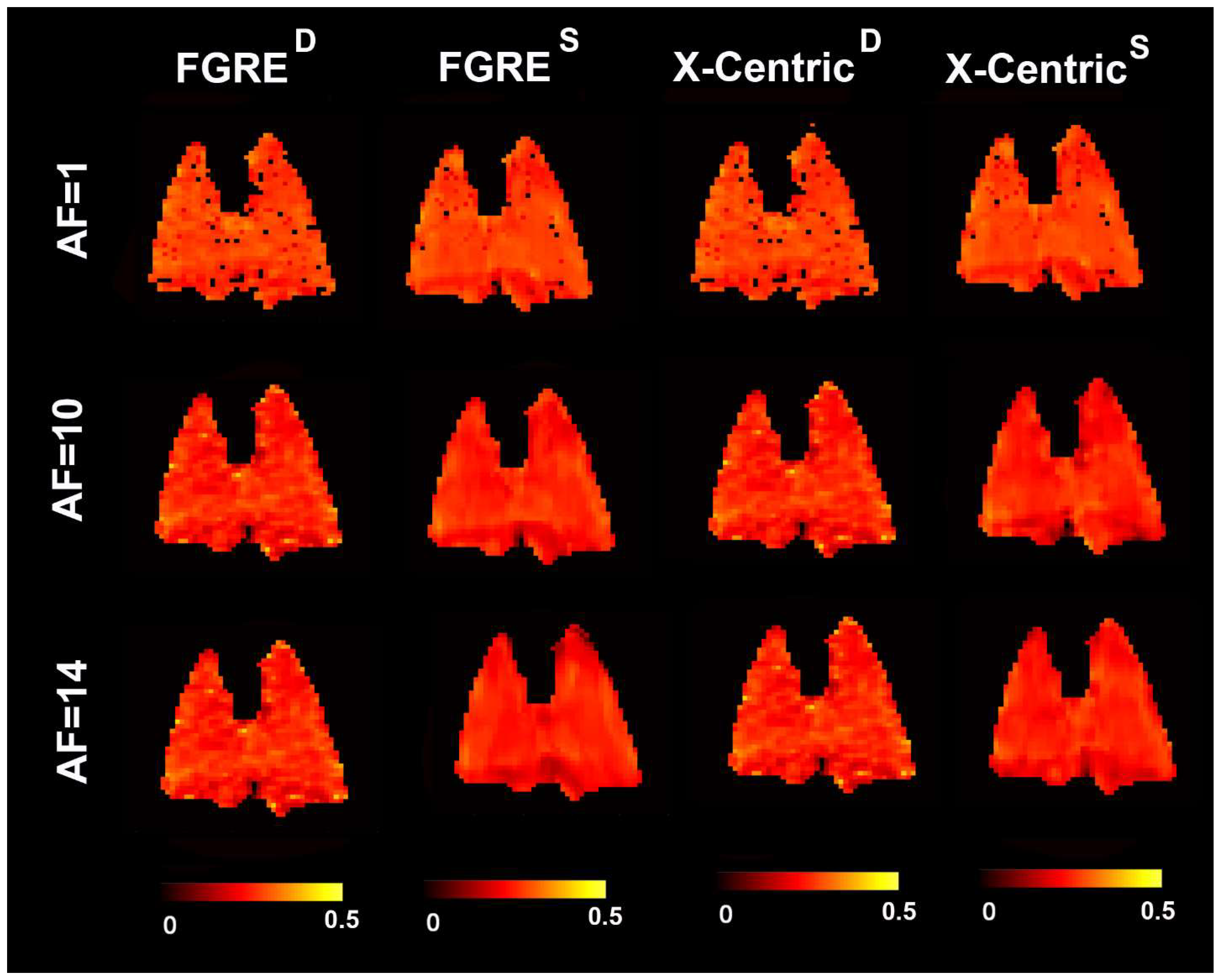 Diagnostics 13 00506 g005
