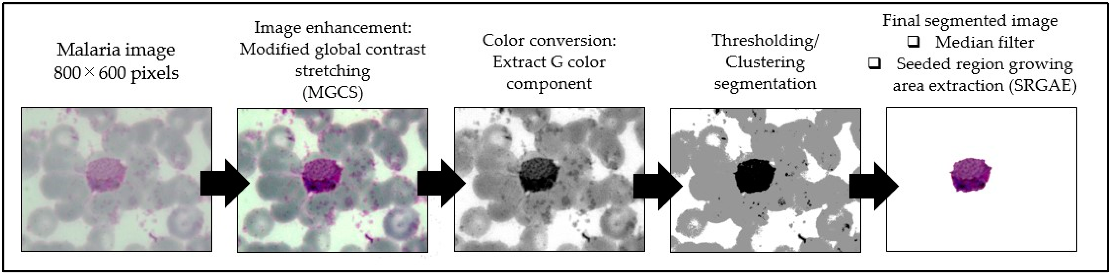 Diagnostics 13 00511 g004