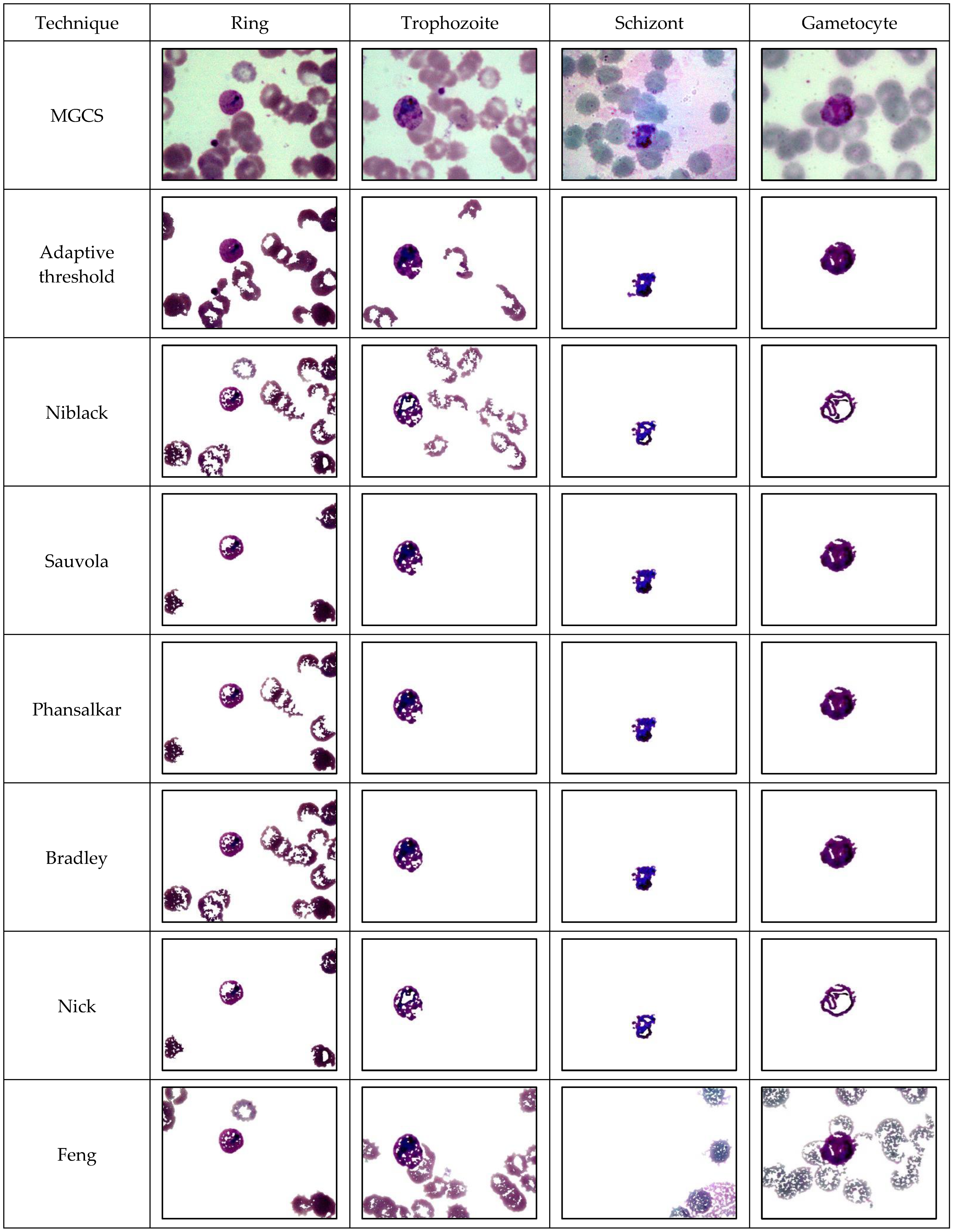 Diagnostics 13 00511 g007a