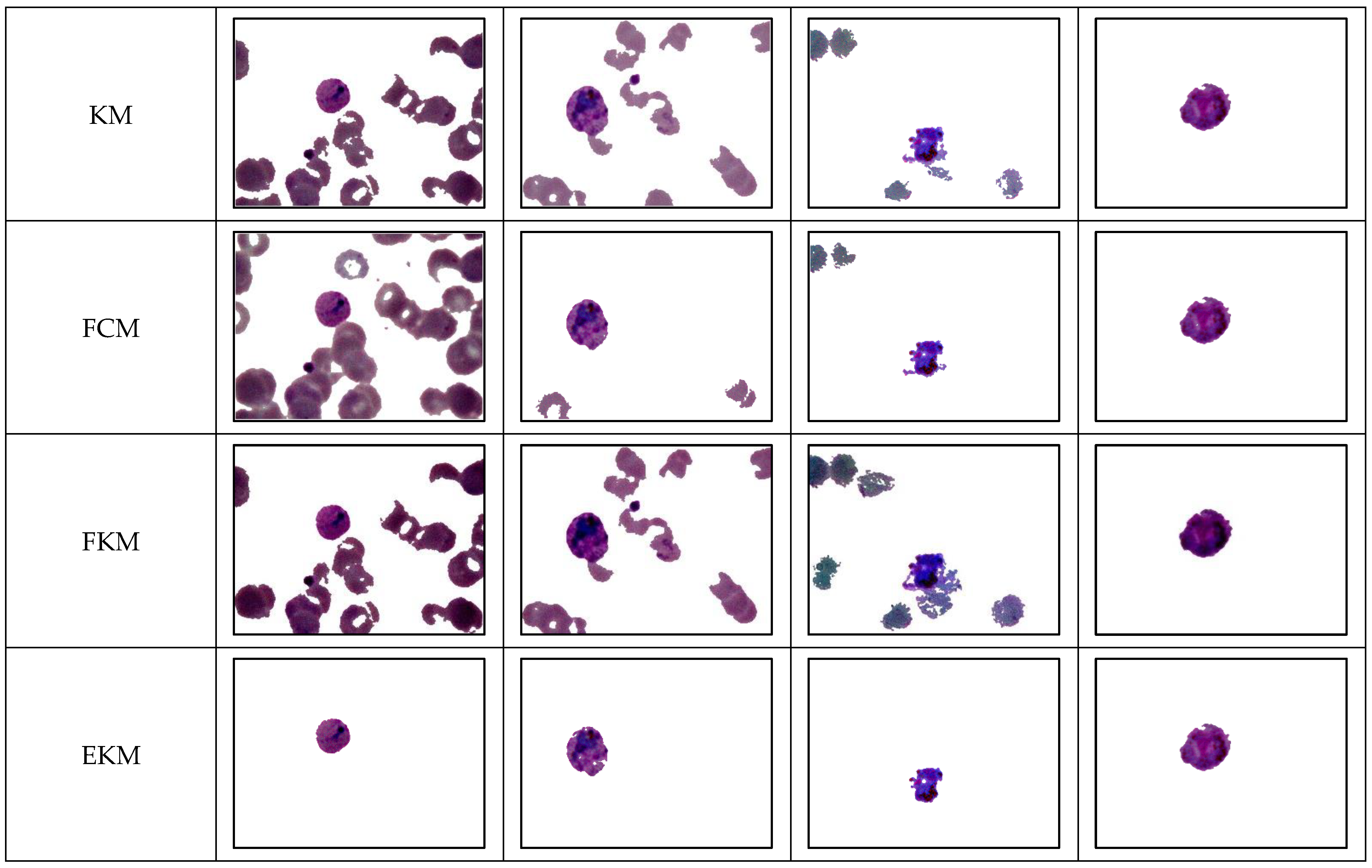 Diagnostics 13 00511 g007b