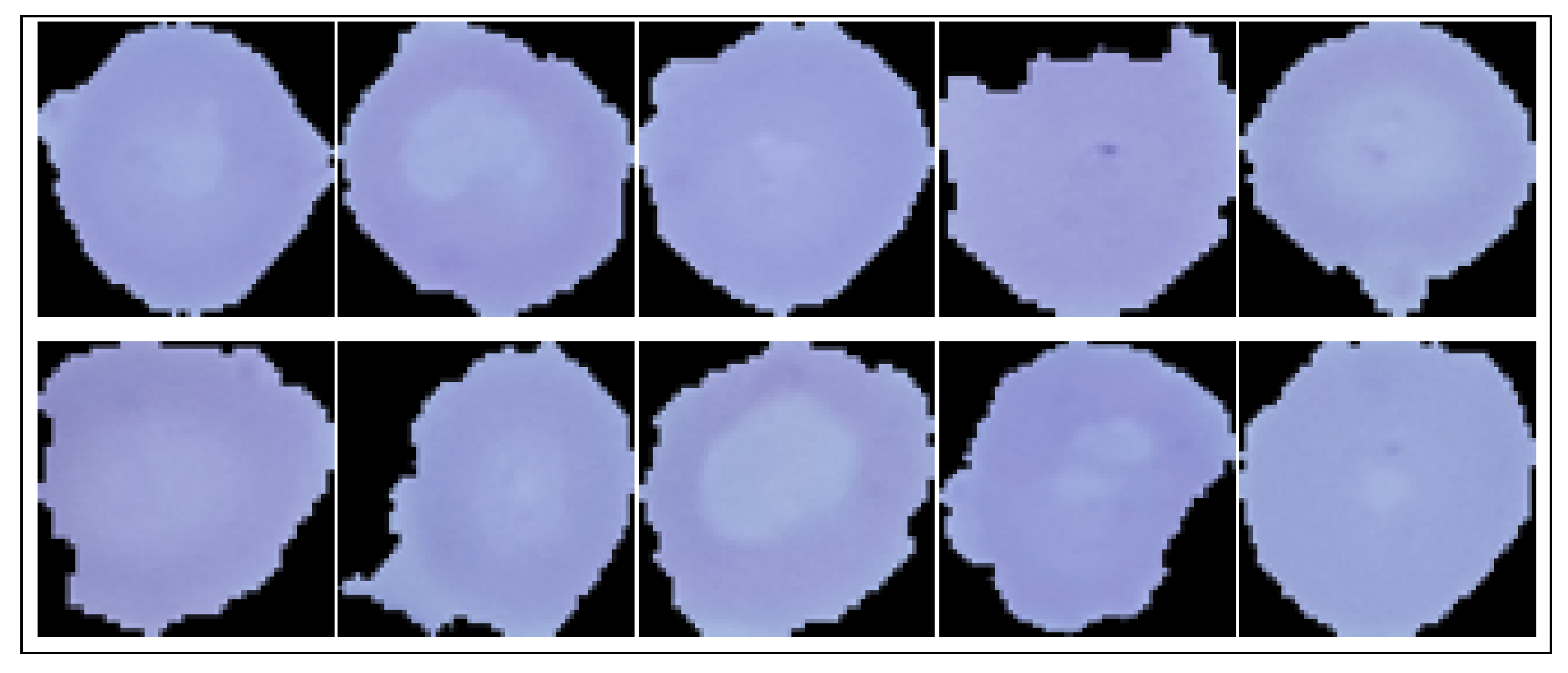 Diagnostics 13 00534 g002