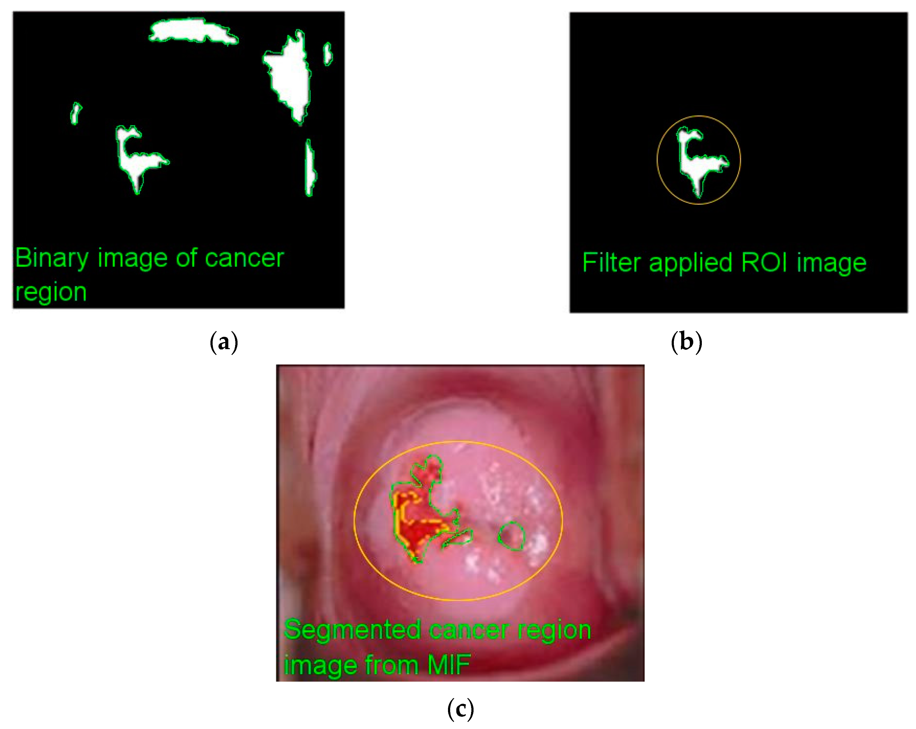 Diagnostics 13 00548 g007