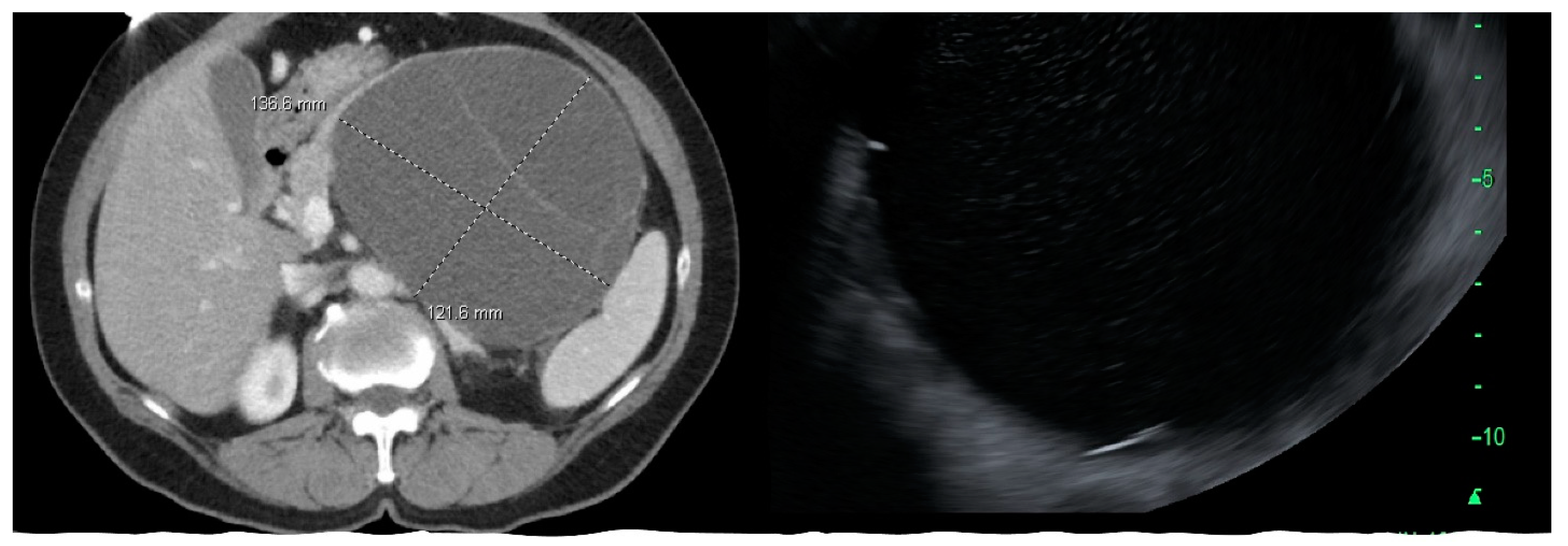 Diagnostics 13 00550 g003