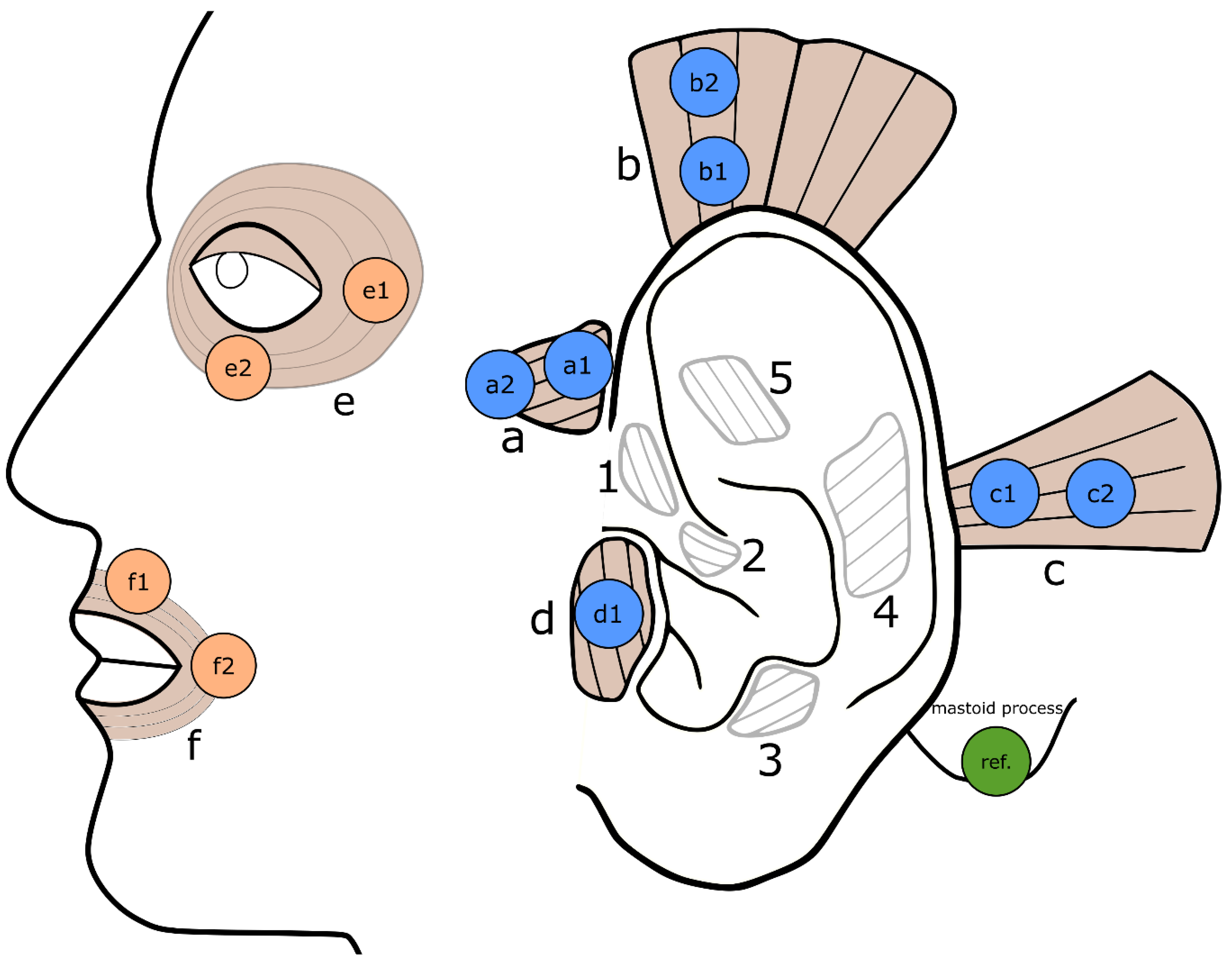 Diagnostics 13 00554 g001