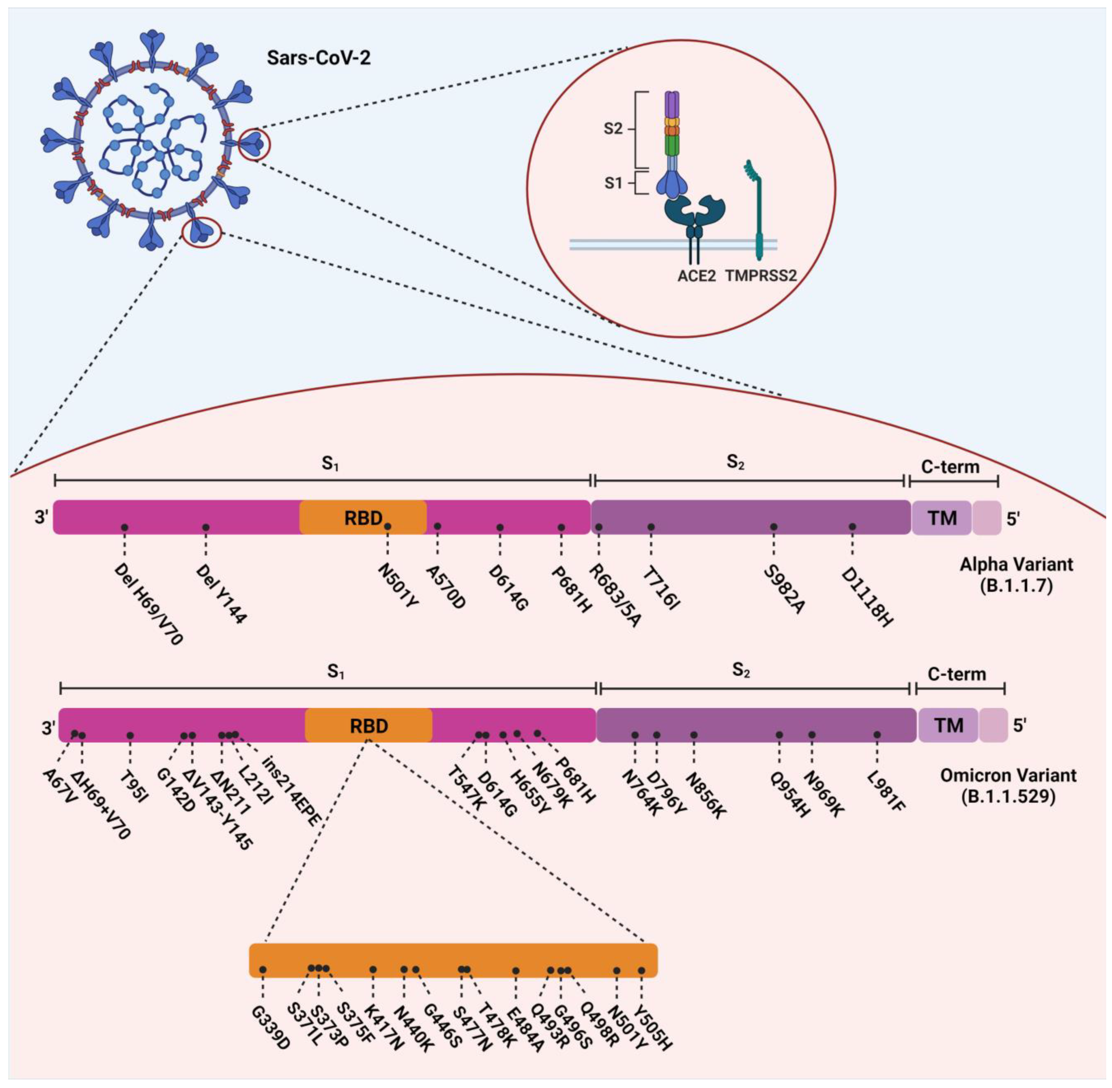 At-home COVID-19 testing for the omicron variant: 7 insights