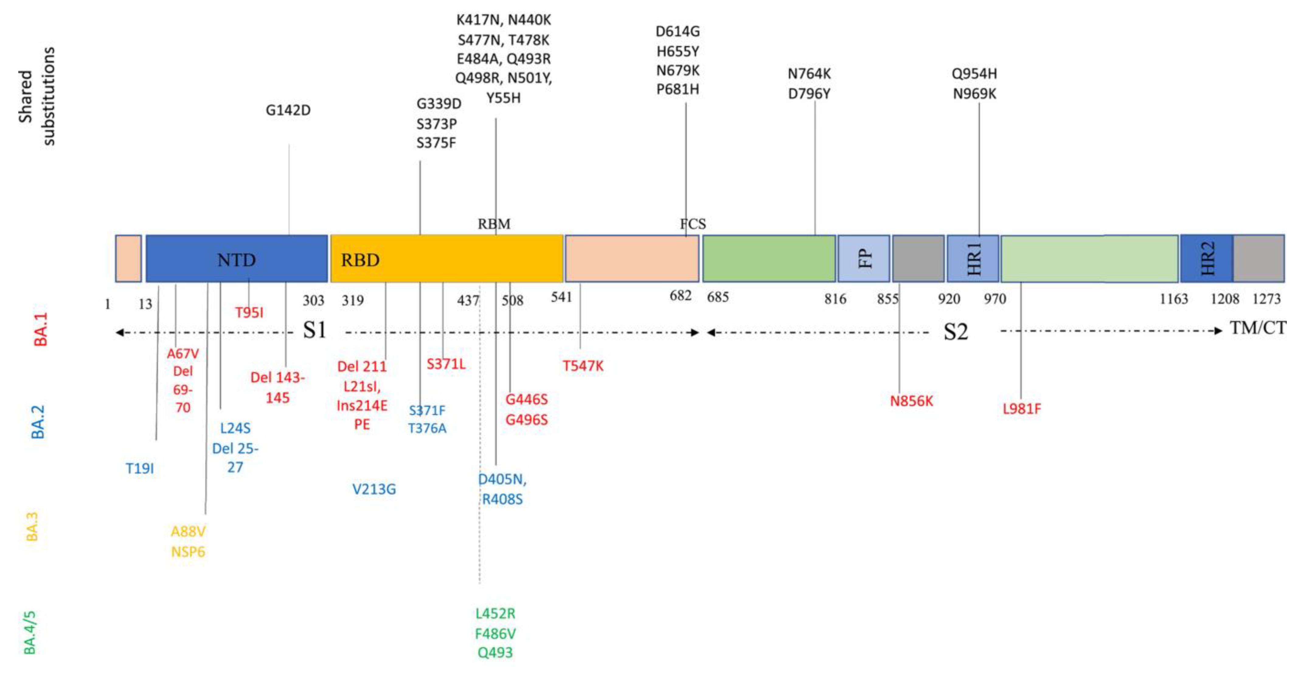 Diagnostics 13 00559 g002 Diagnostics 13 00559 g002