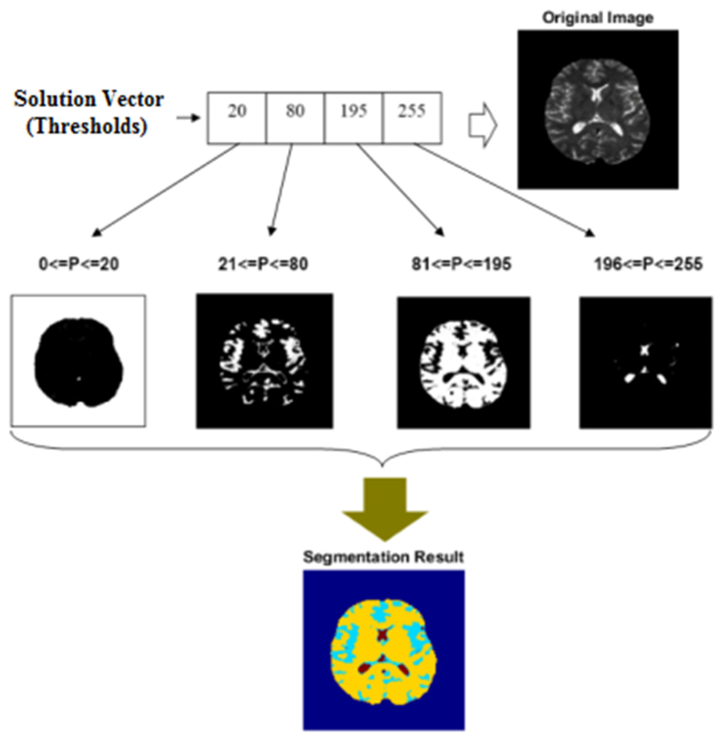 Diagnostics 13 00561 g002 550