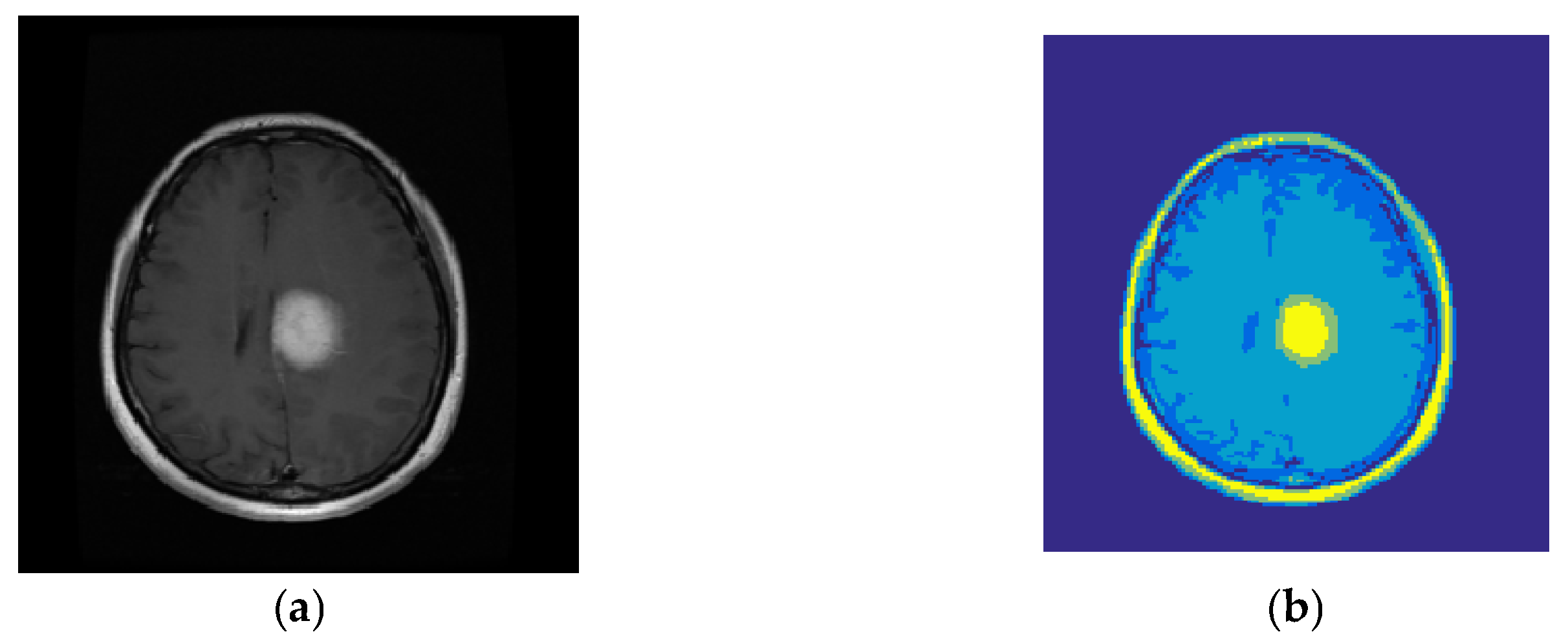 Diagnostics 13 00561 g003 550