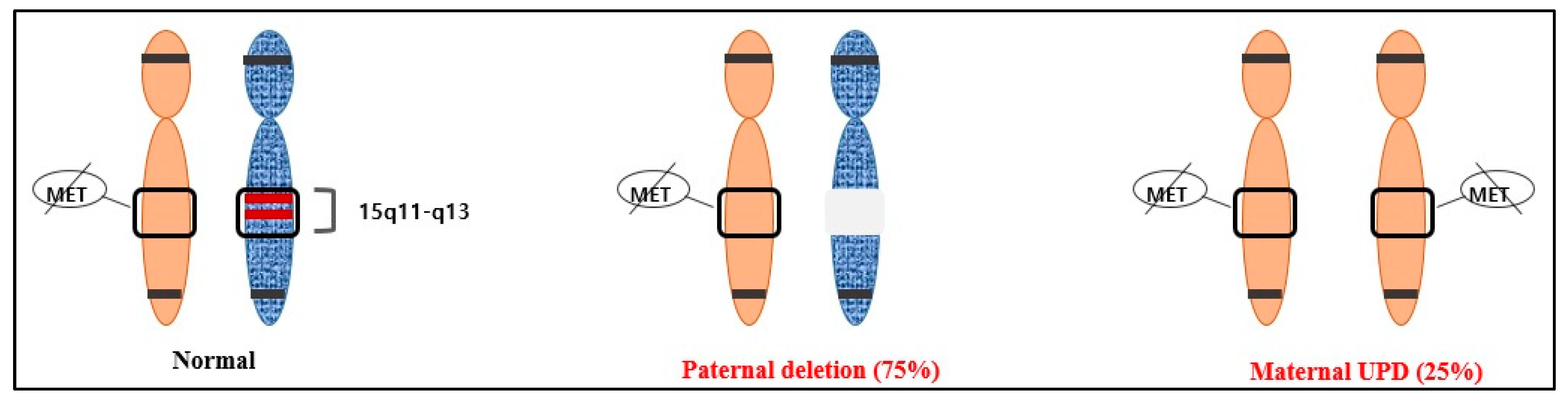 Diagnostics 13 00580 g002 Diagnostics 13 00580 g002