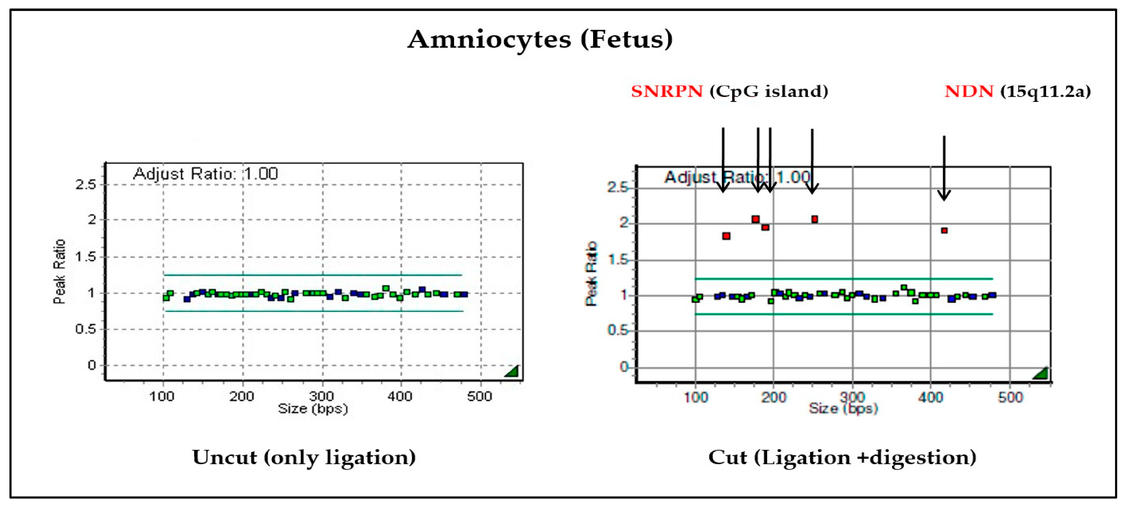 Diagnostics 13 00580 g004 Diagnostics 13 00580 g004