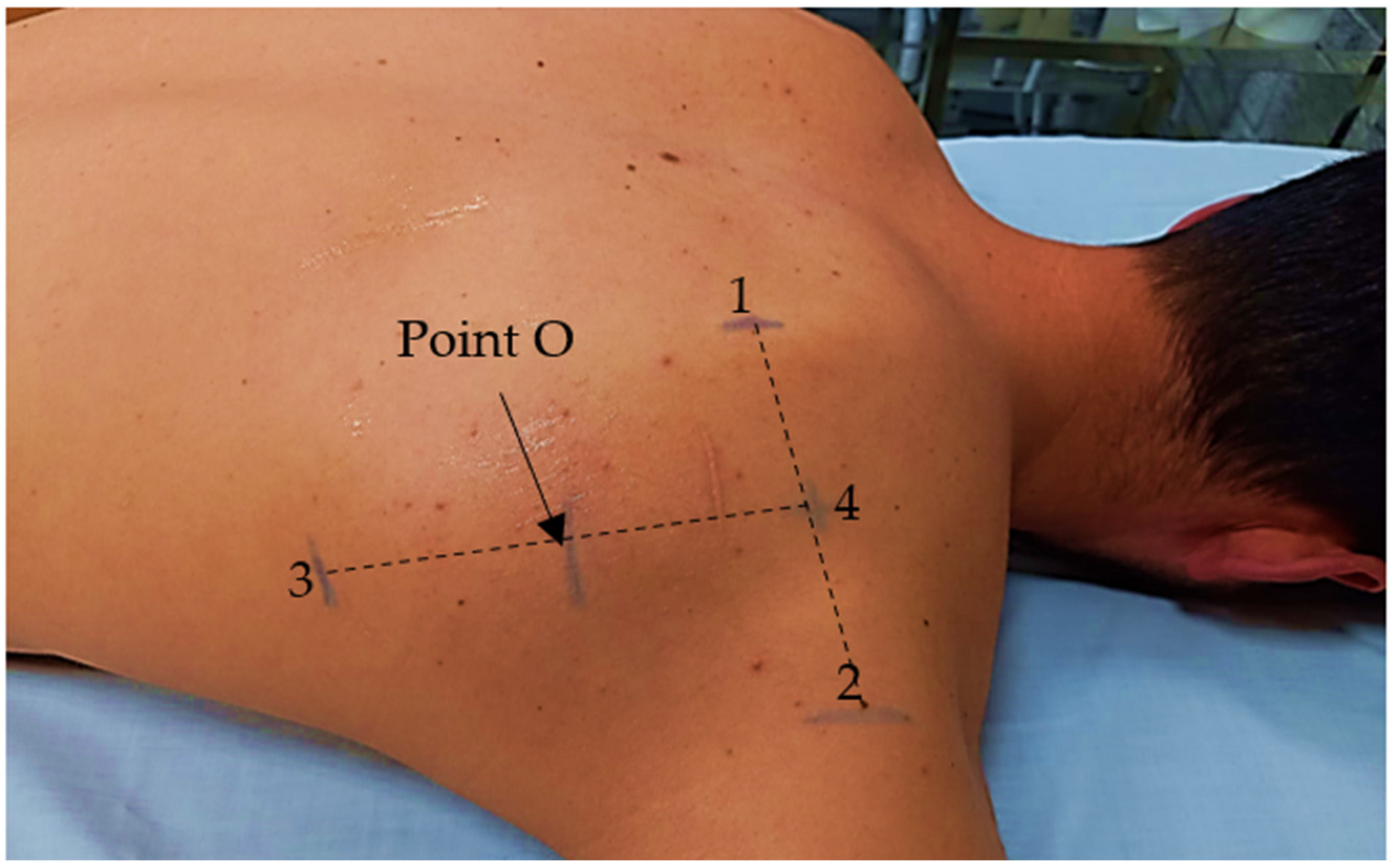 Diagnostics 13 00582 g002 Diagnostics 13 00582 g002