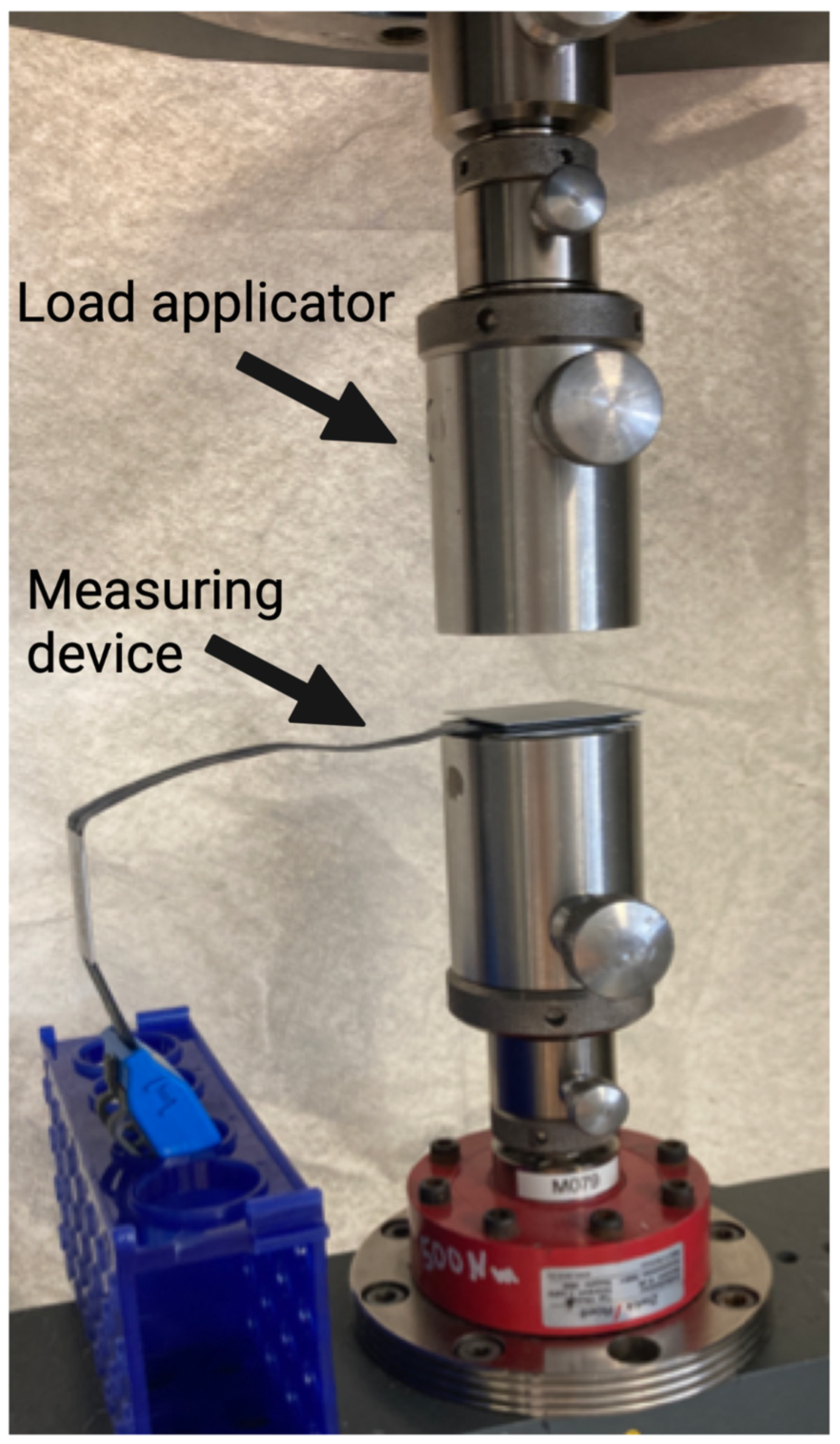 Diagnostics 13 00586 g002 550
