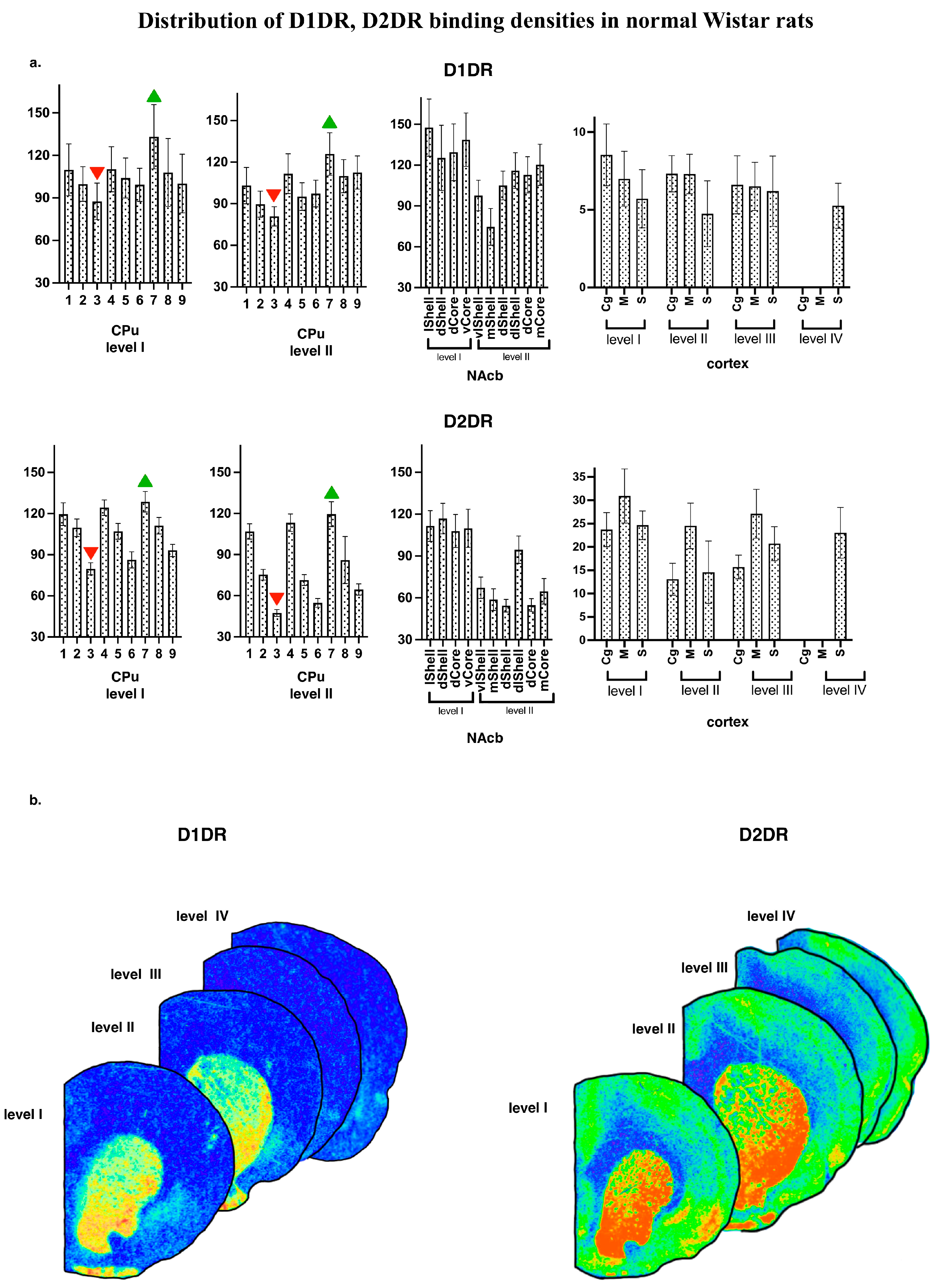 Diagnostics 13 00587 g003
