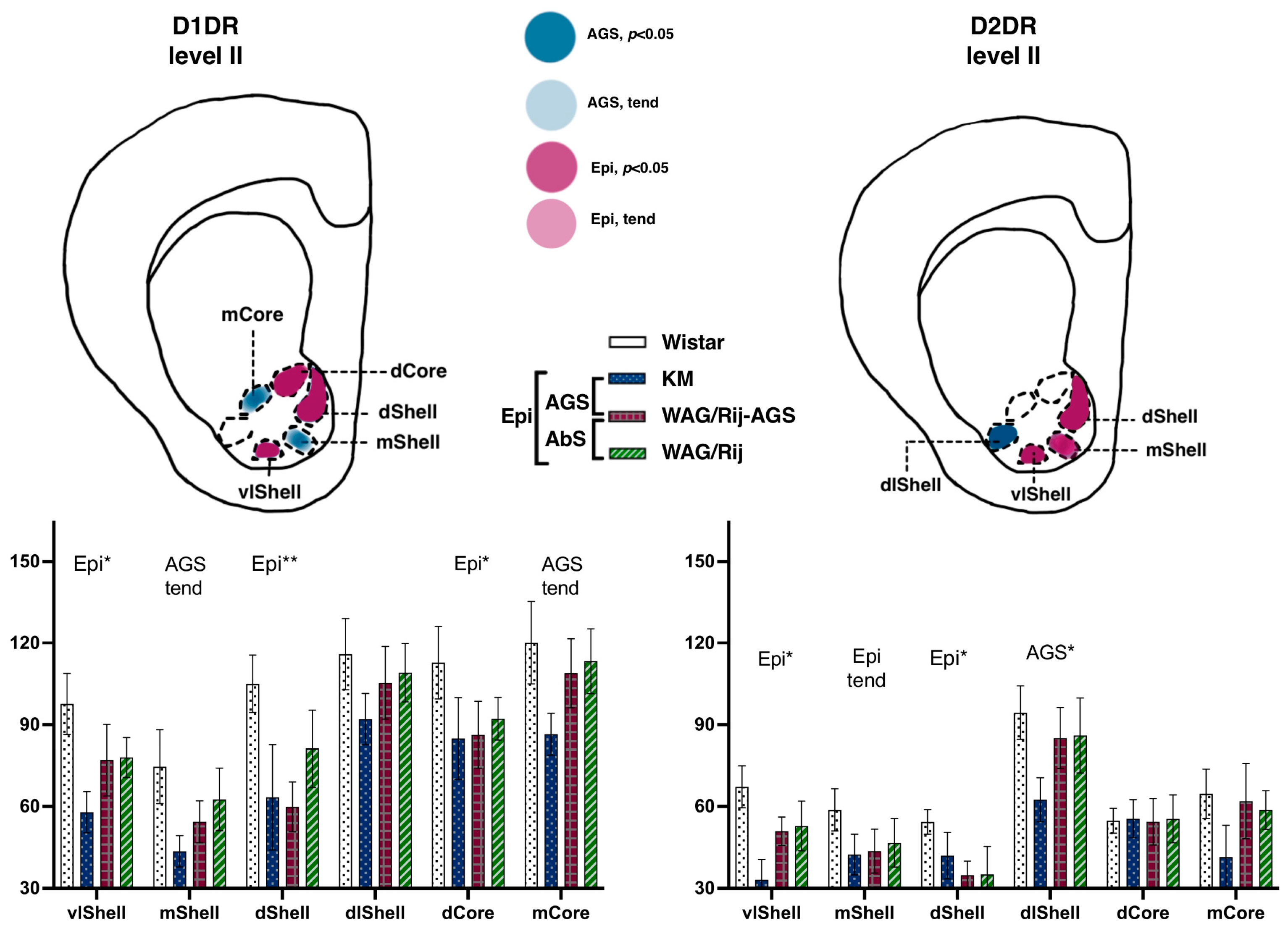 Diagnostics 13 00587 g005
