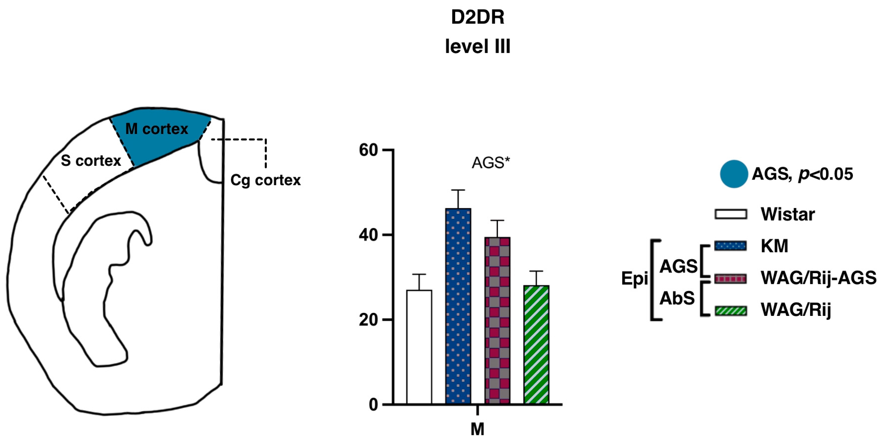Diagnostics 13 00587 g006