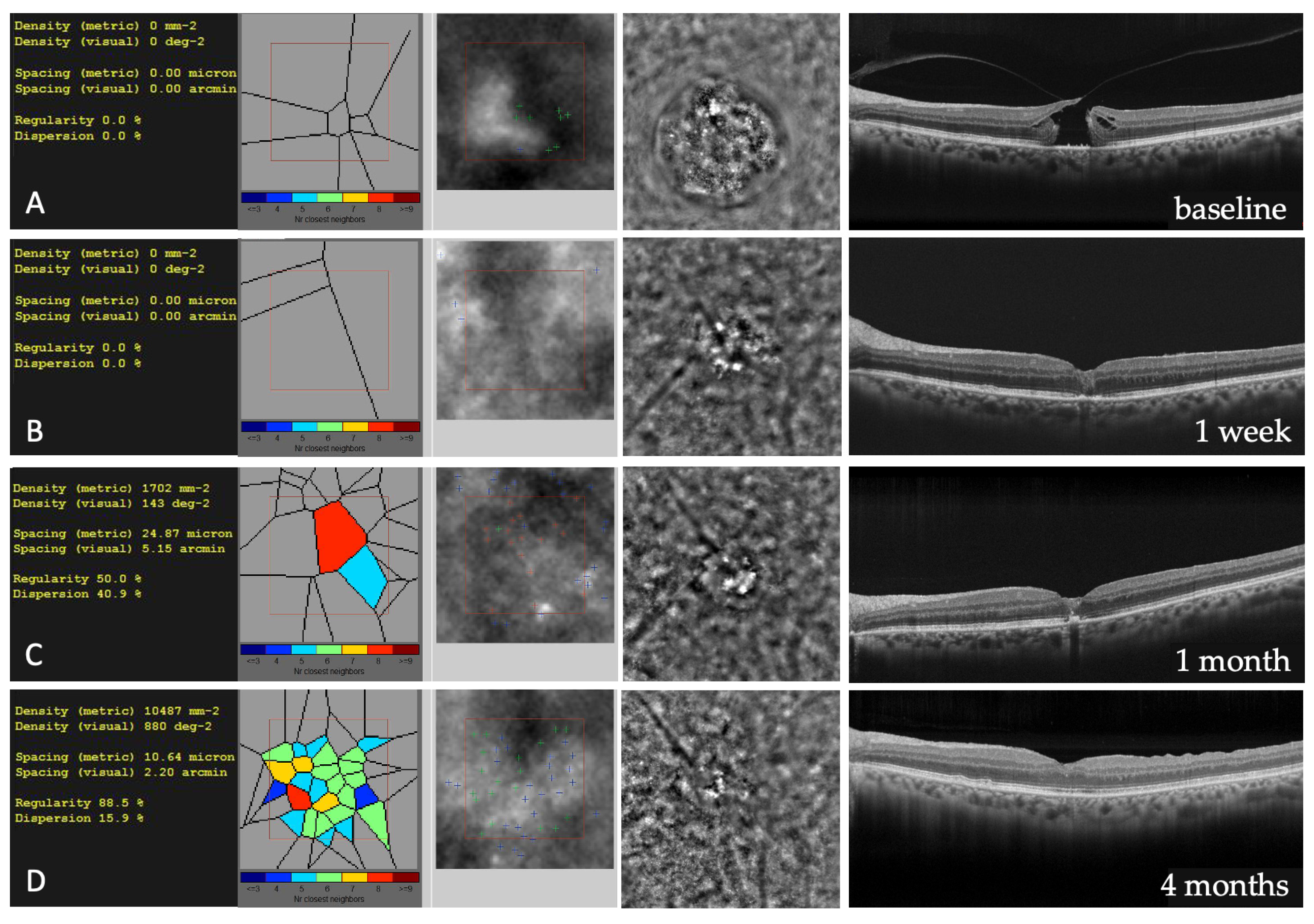 Diagnostics 13 00589 g010 Diagnostics 13 00589 g010