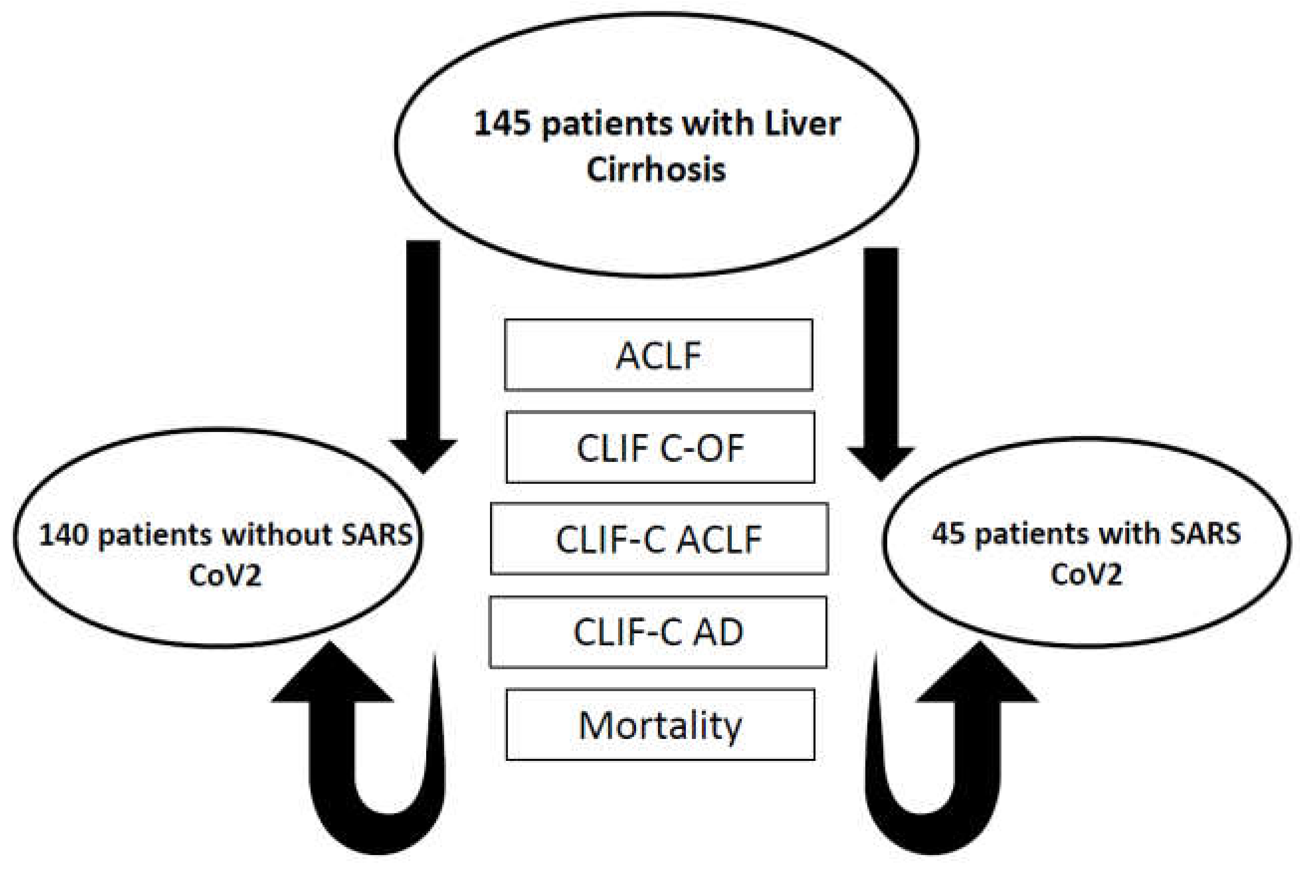 Diagnostics 13 00600 g001 Diagnostics 13 00600 g001