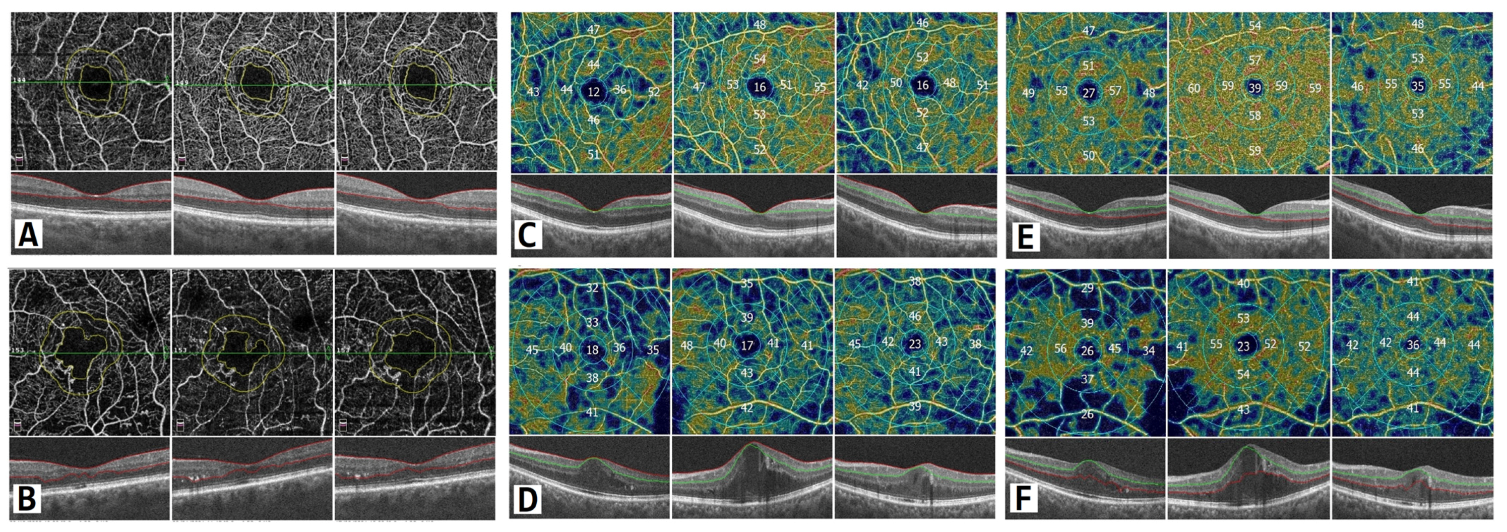 Diagnostics 13 00605 g004 550