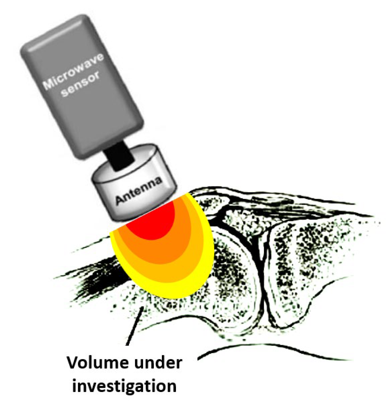 Diagnostics 13 00609 g001 Diagnostics 13 00609 g001