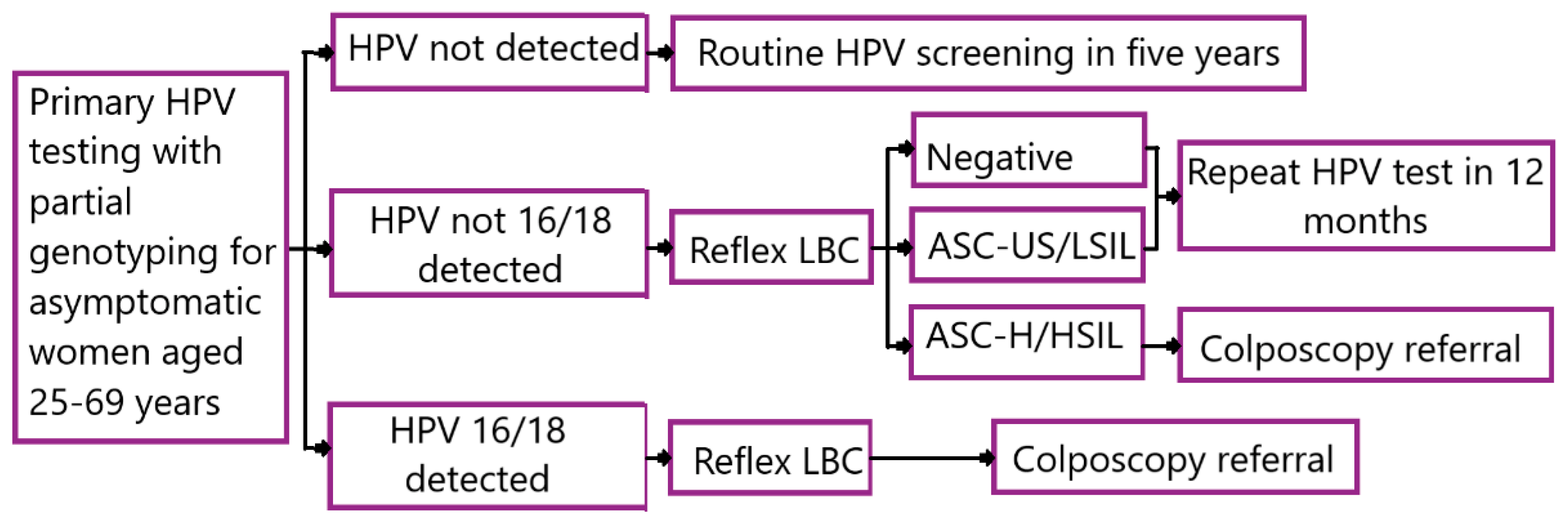 Diagnostics 13 00610 g001