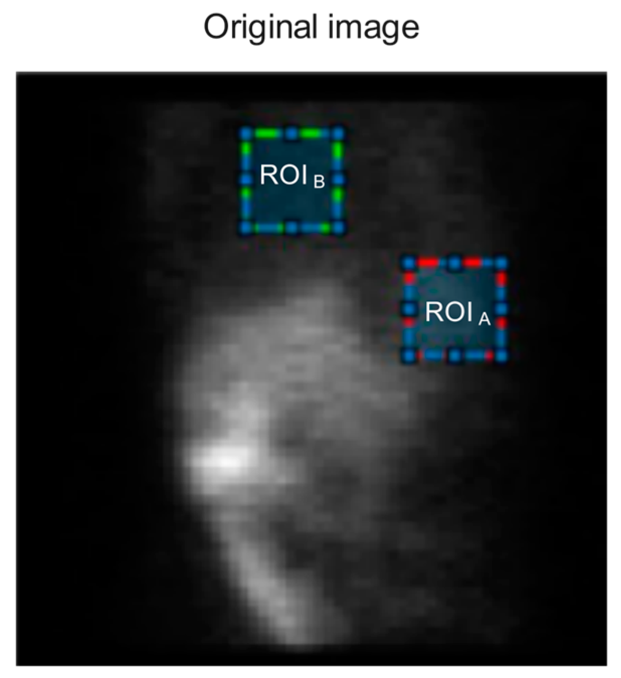 Diagnostics 13 00611 g004 550