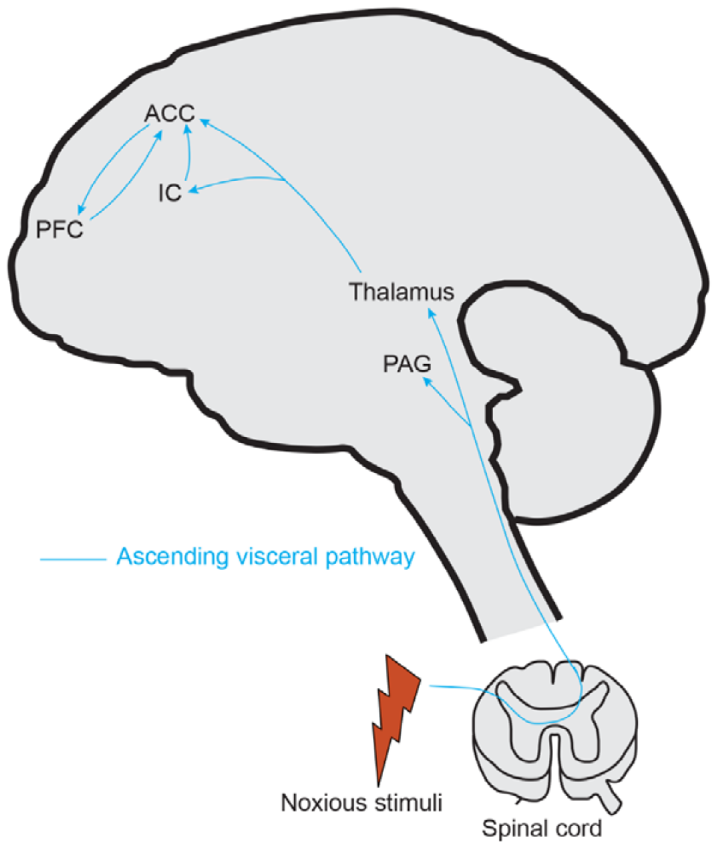 Diagnostics 13 00627 g001 Diagnostics 13 00627 g001