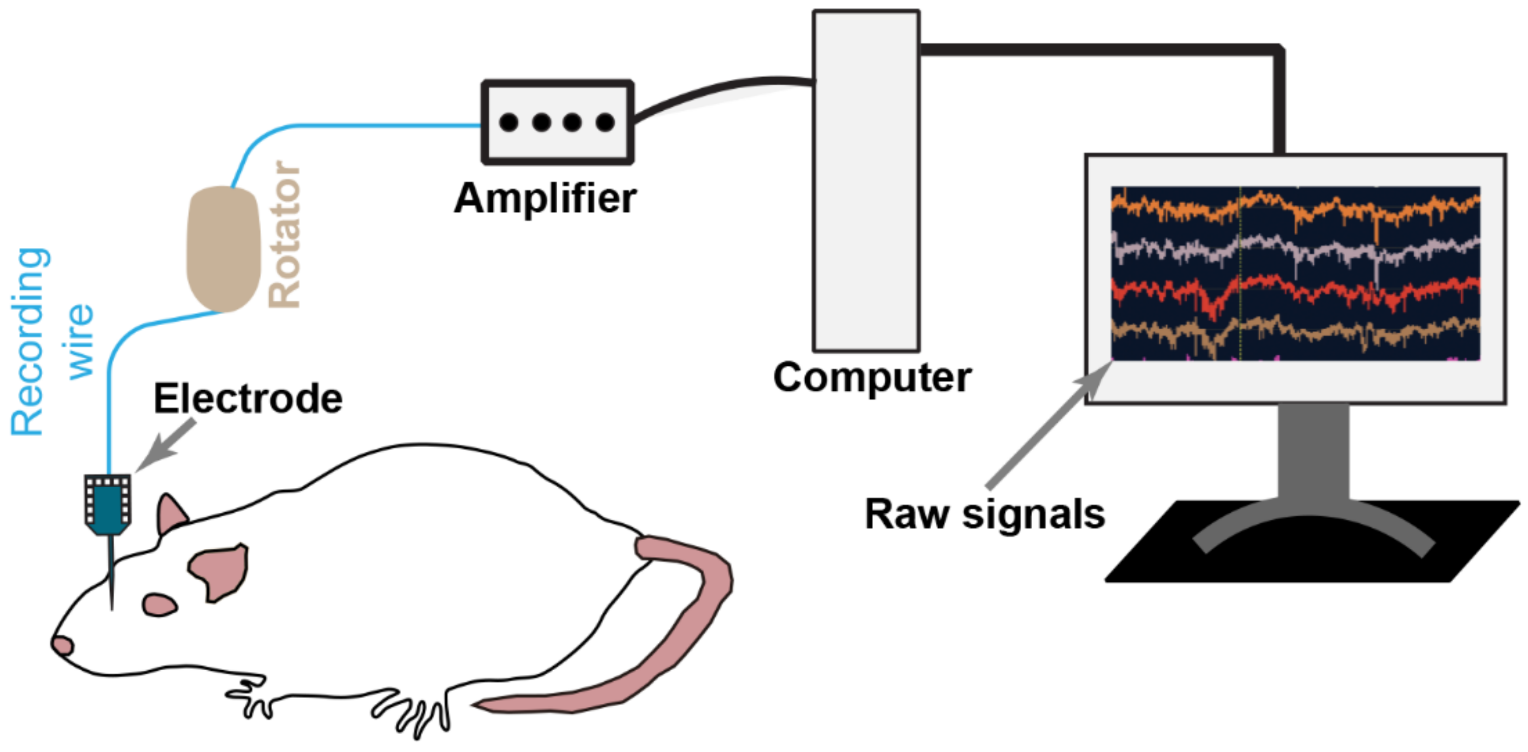 Diagnostics 13 00627 g003 Diagnostics 13 00627 g003