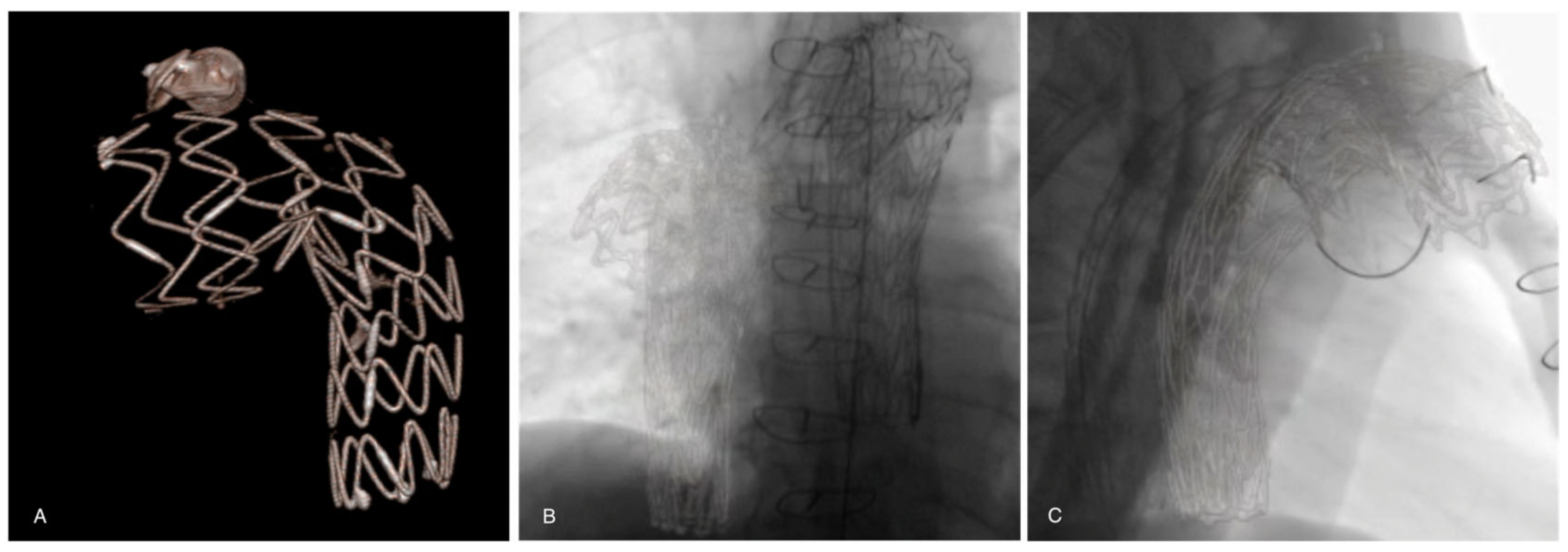 Diagnostics 13 00635 g002