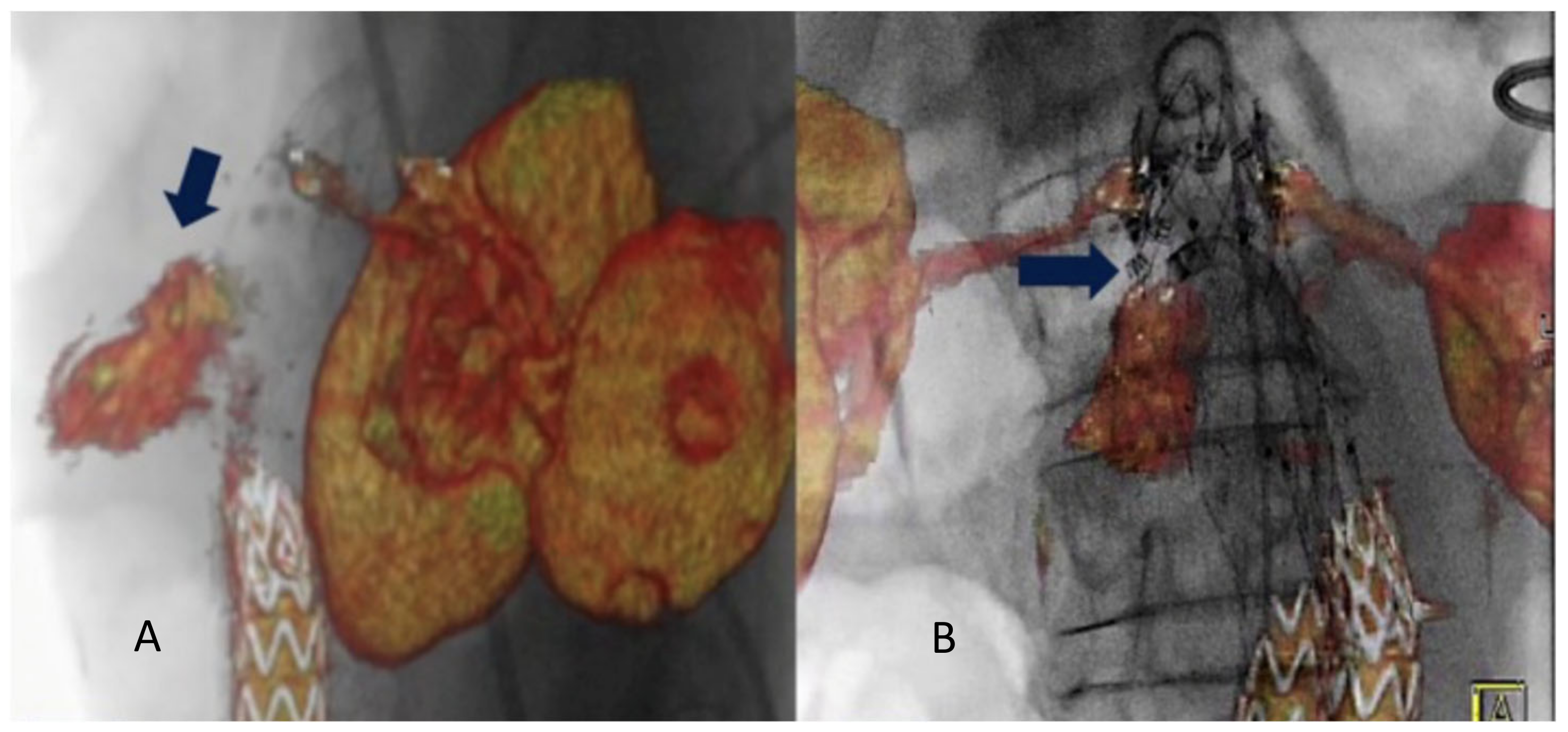 Diagnostics 13 00635 g003