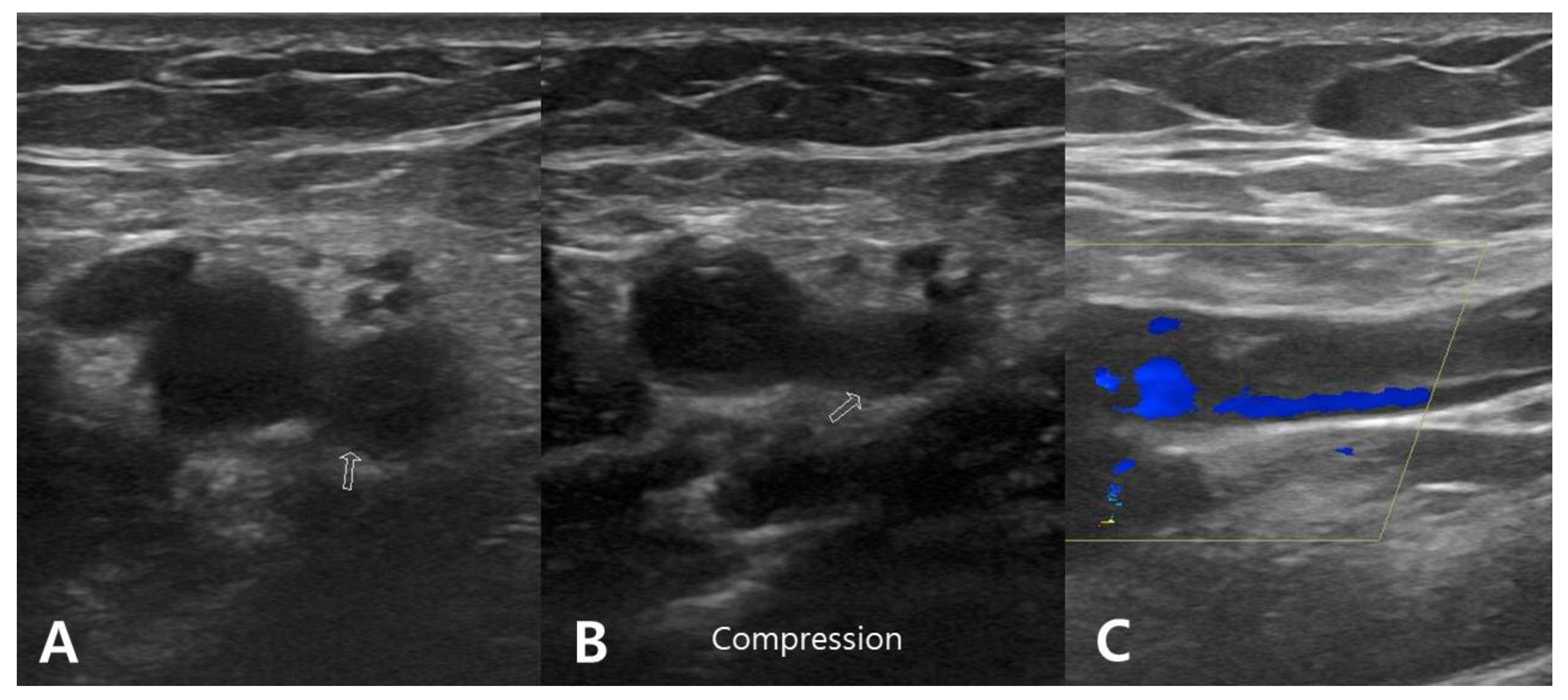 Diagnostics 13 00636 g001