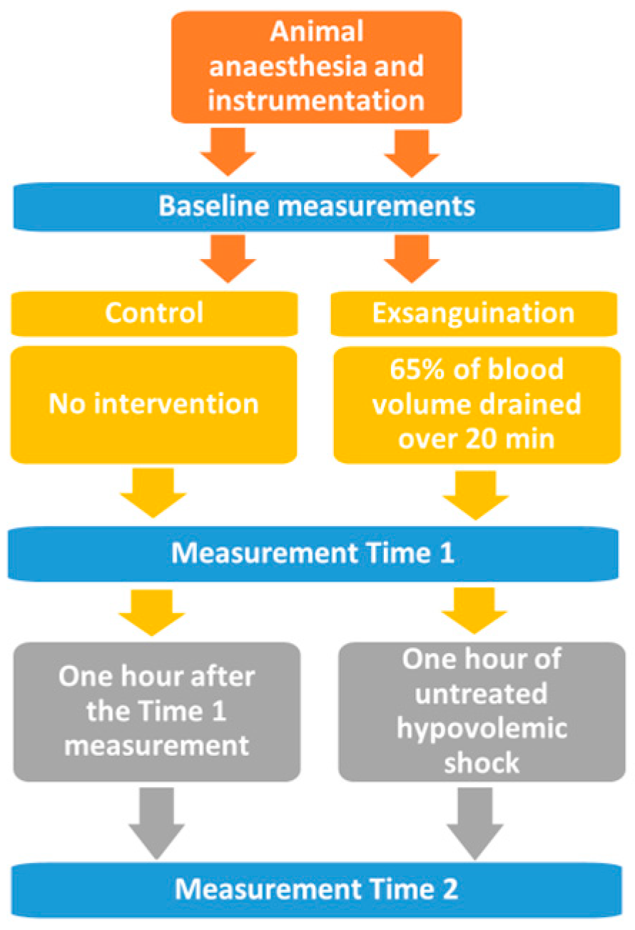 Diagnostics | Free Full-Text | Hemorrhagic Shock: Blood Marker Sequencing and Pulmonary Gas Exchange Diagnostics | Free Full-Text | Hemorrhagic Shock: Blood Marker Sequencing and Pulmonary Gas Exchange