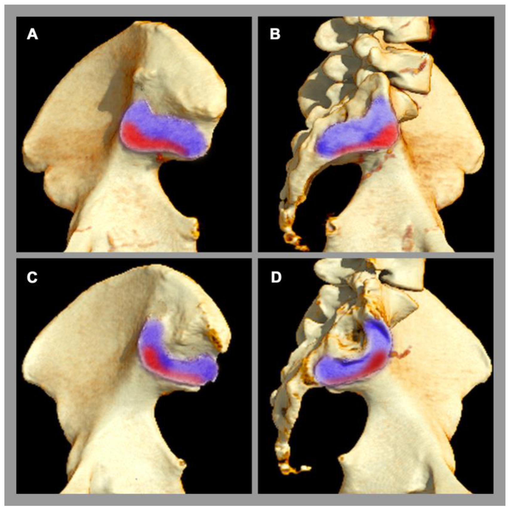 Diagnostics 13 00642 g003 550