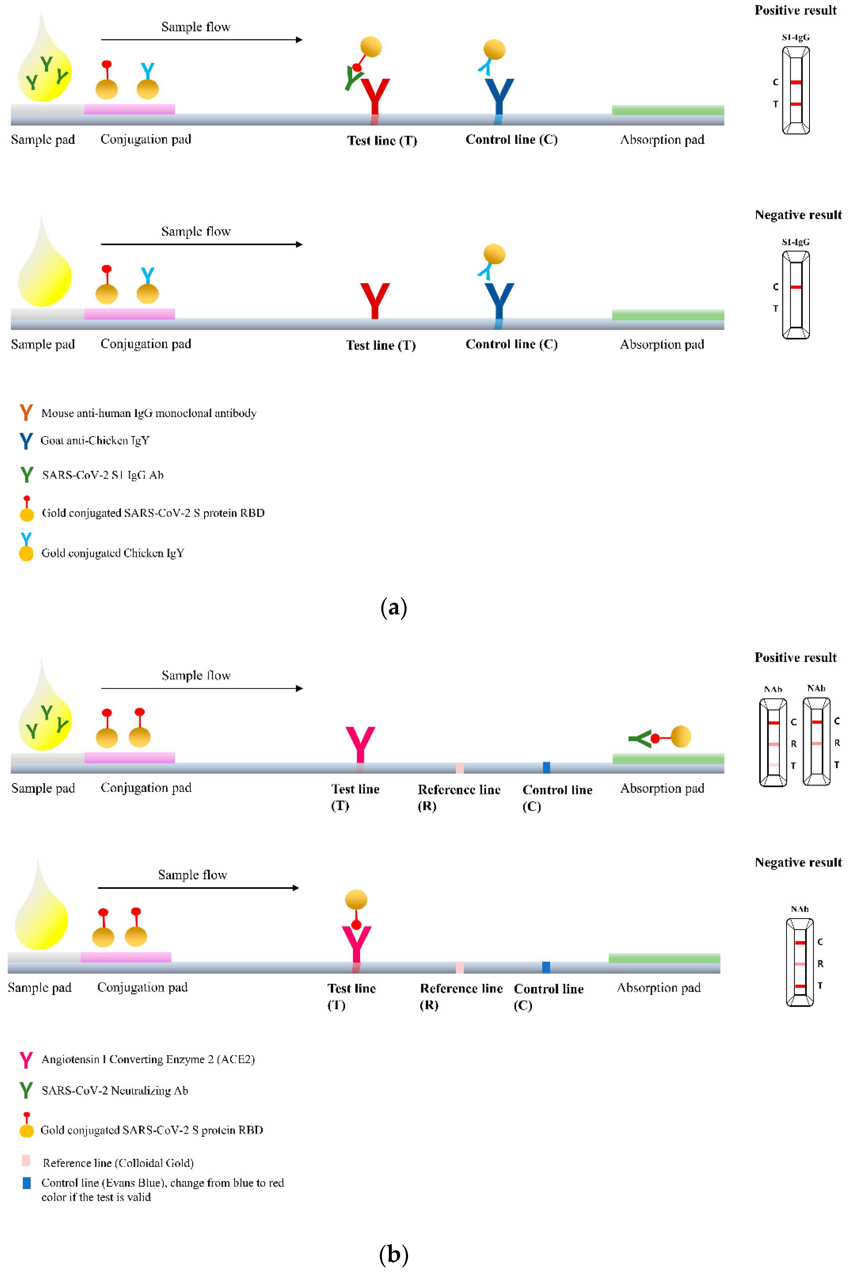 Diagnostics 13 00643 g001a