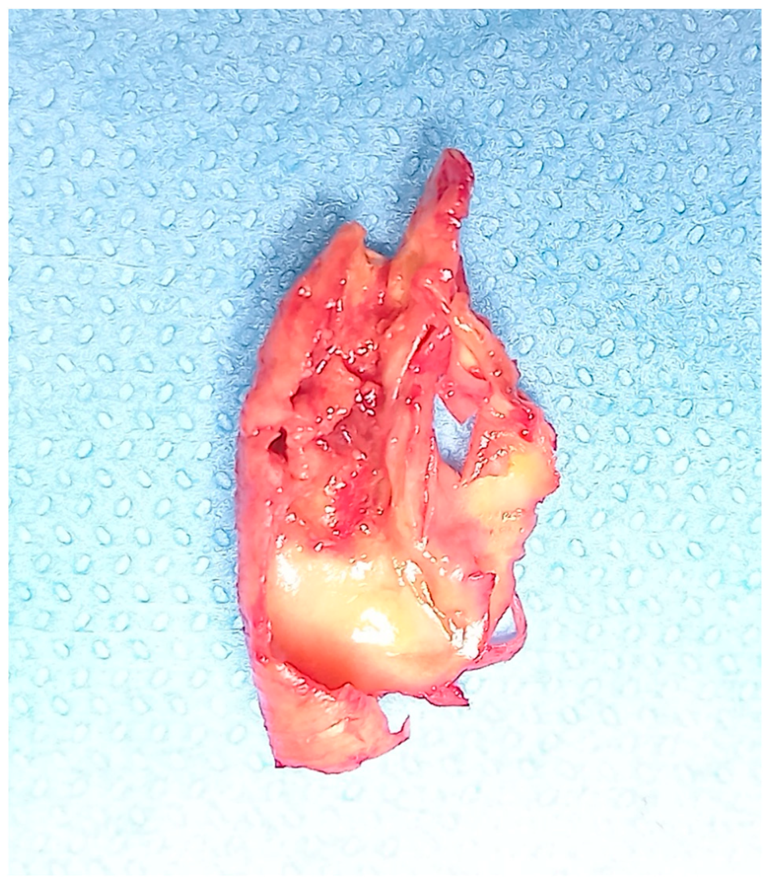 Diagnostics 13 00644 g002