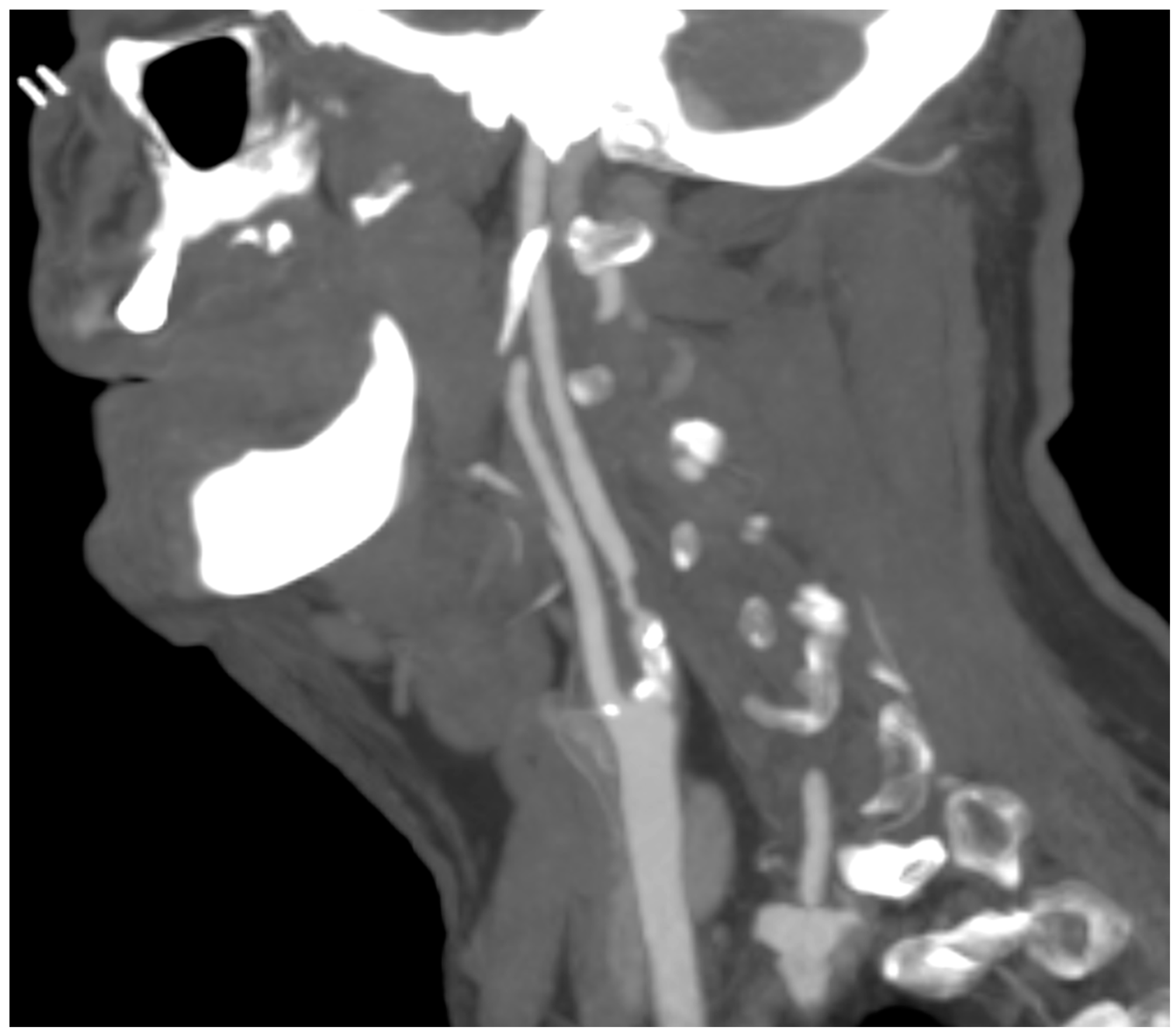 Diagnostics 13 00644 g003