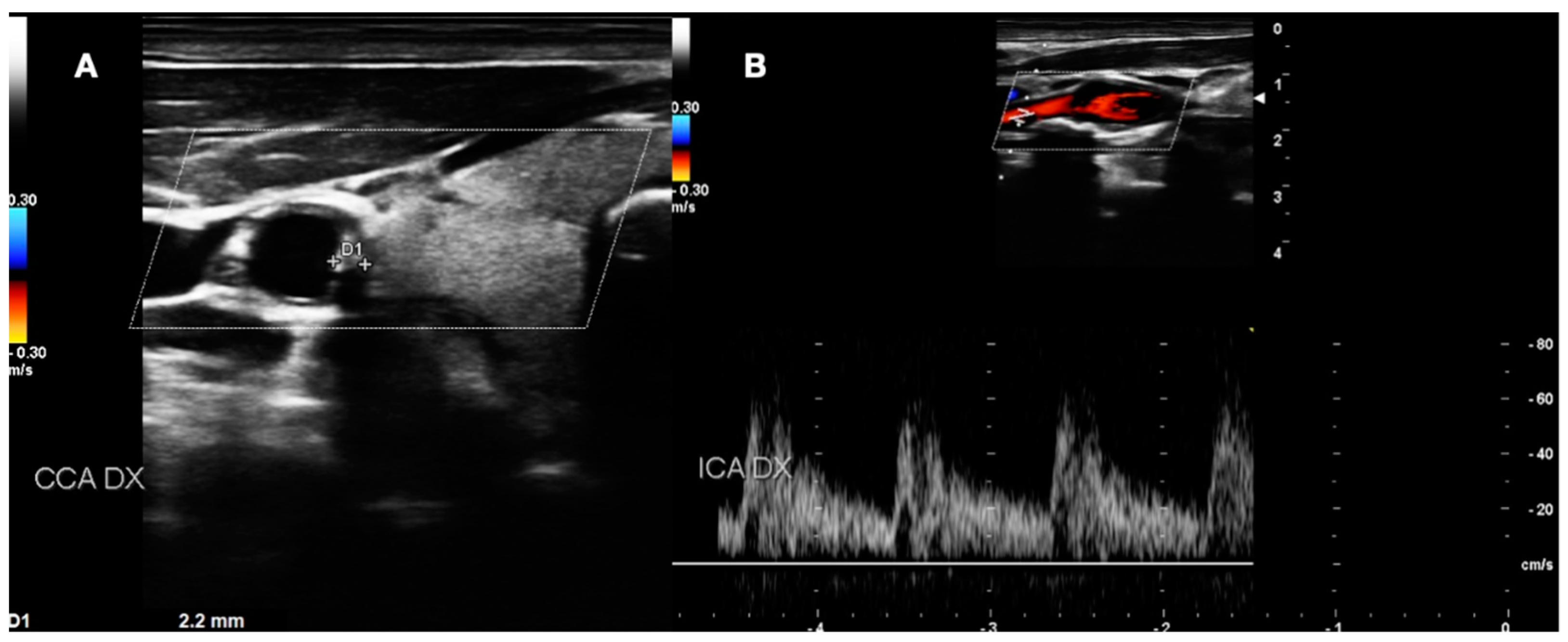 Diagnostics 13 00644 g006