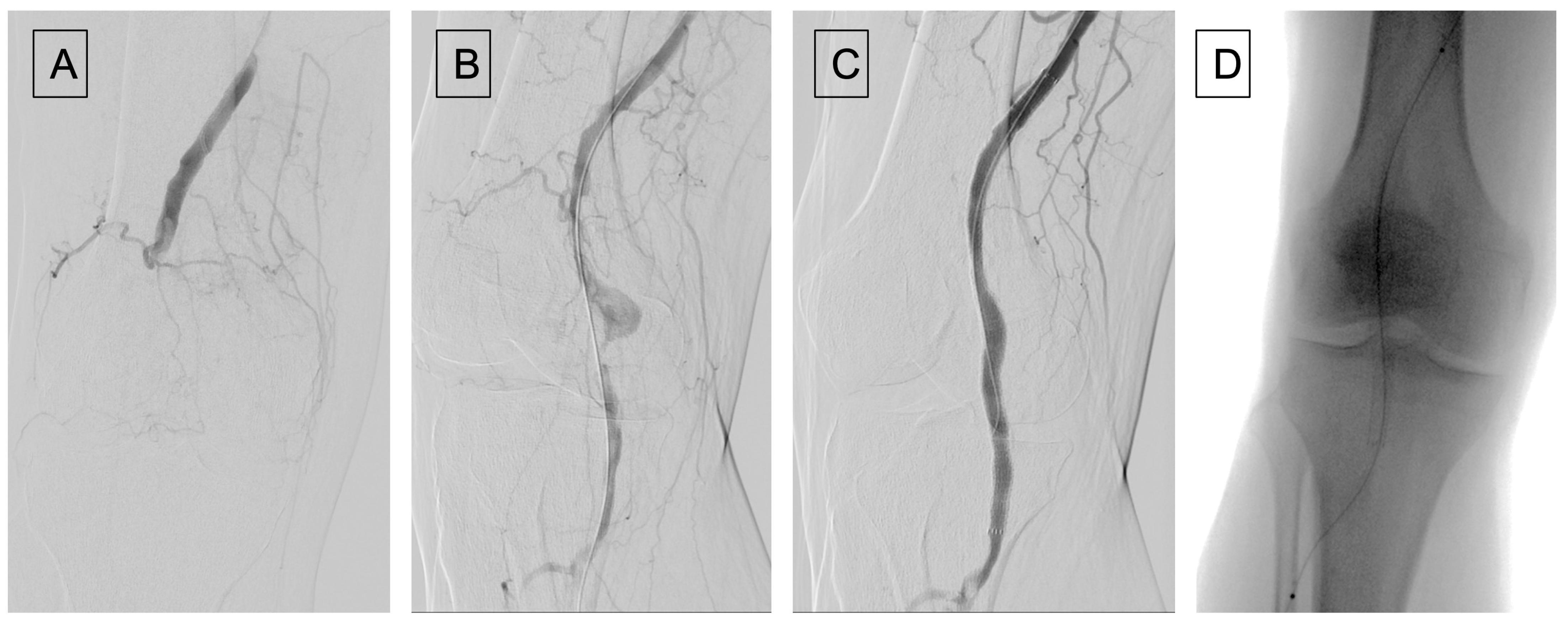 Diagnostics 13 00647 g002